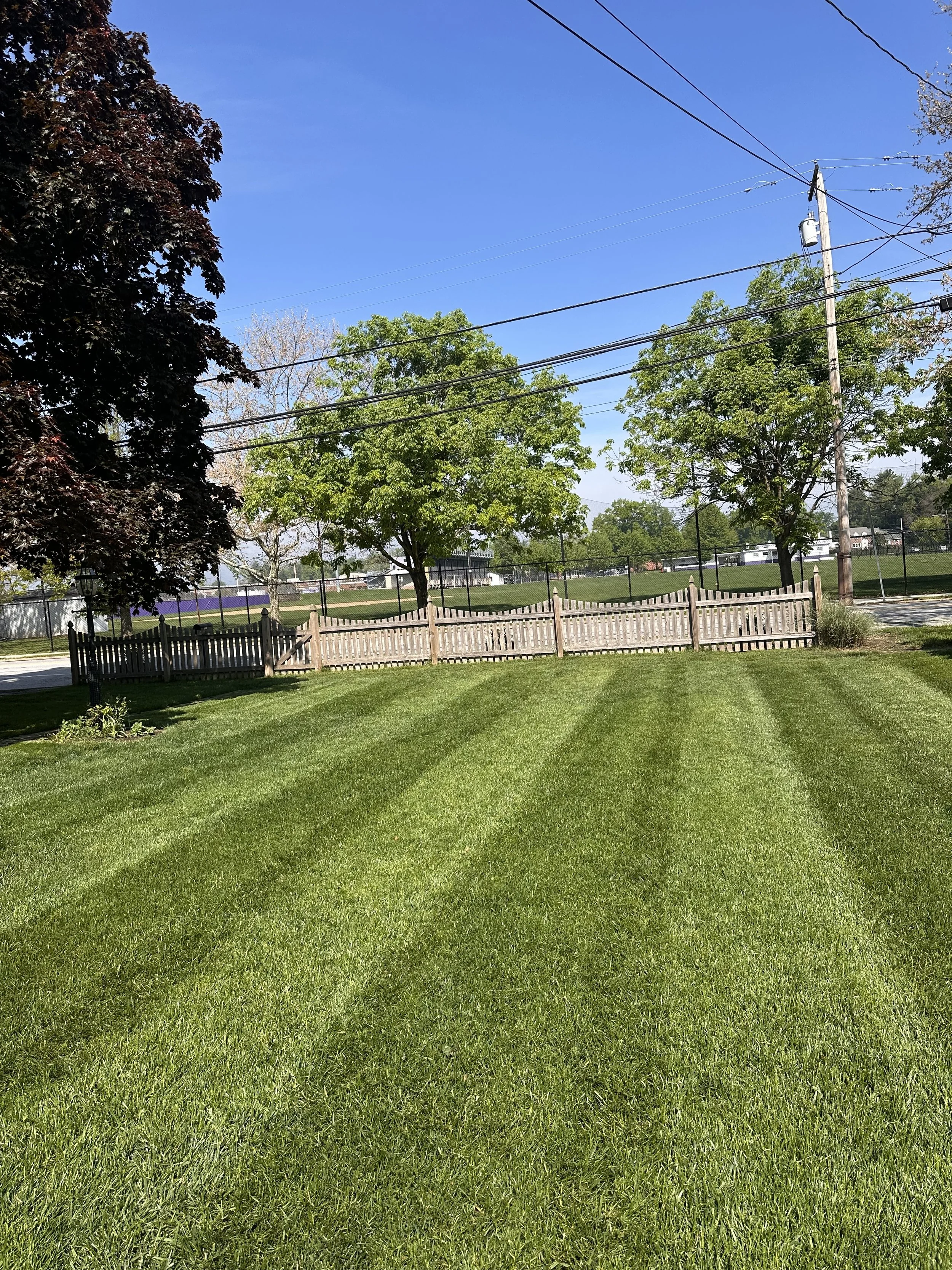 Medium Sized Lawn