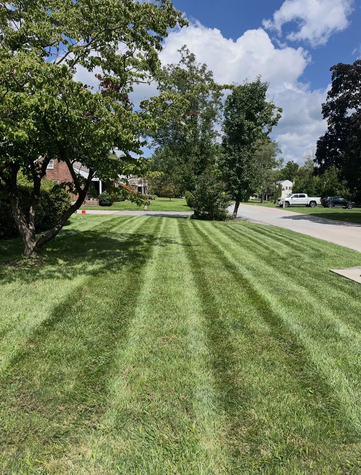 New Small Lawn.jpeg