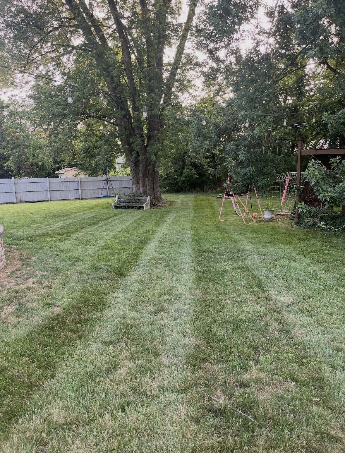 New Large Lawn.jpeg