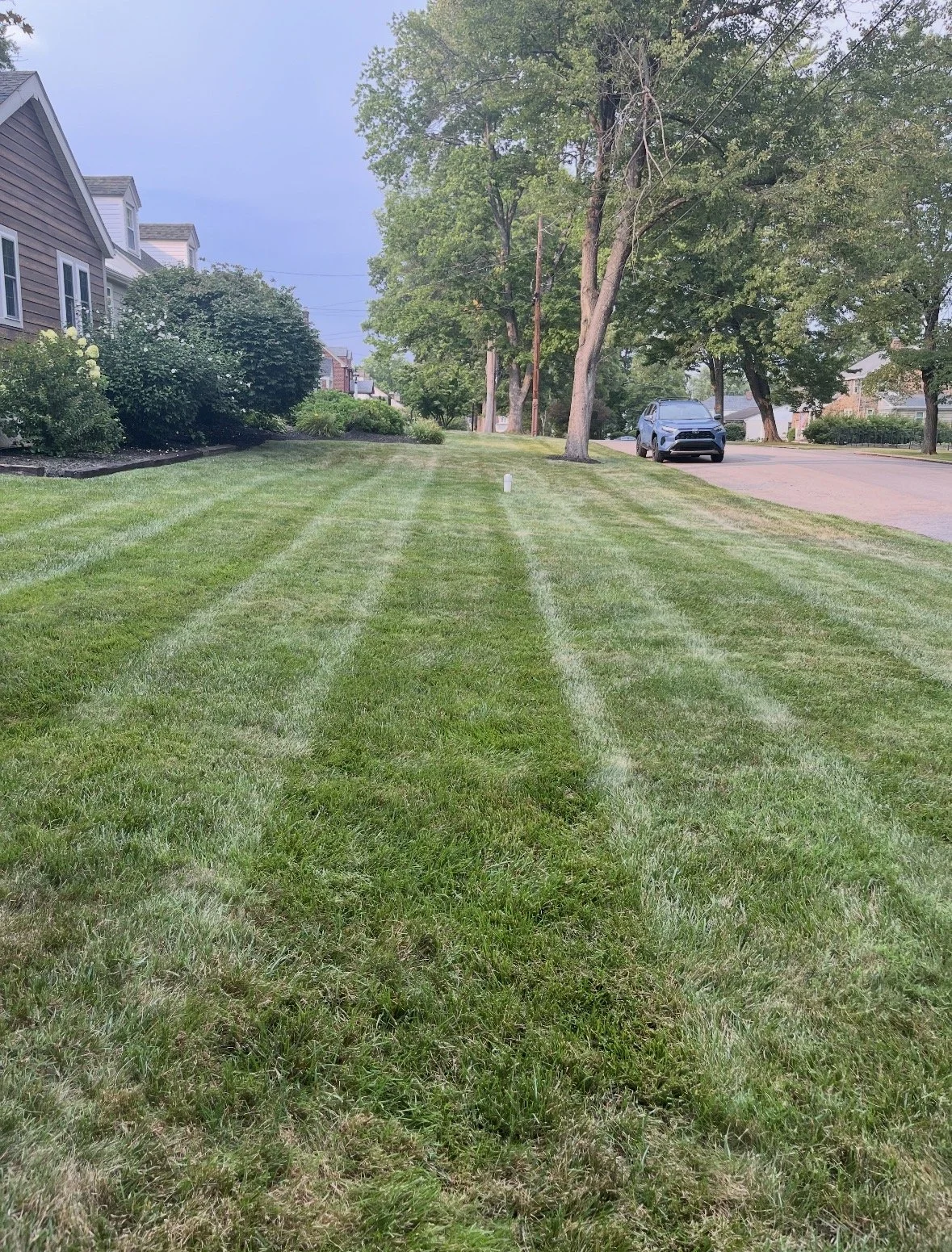 New Medium lawn.jpeg