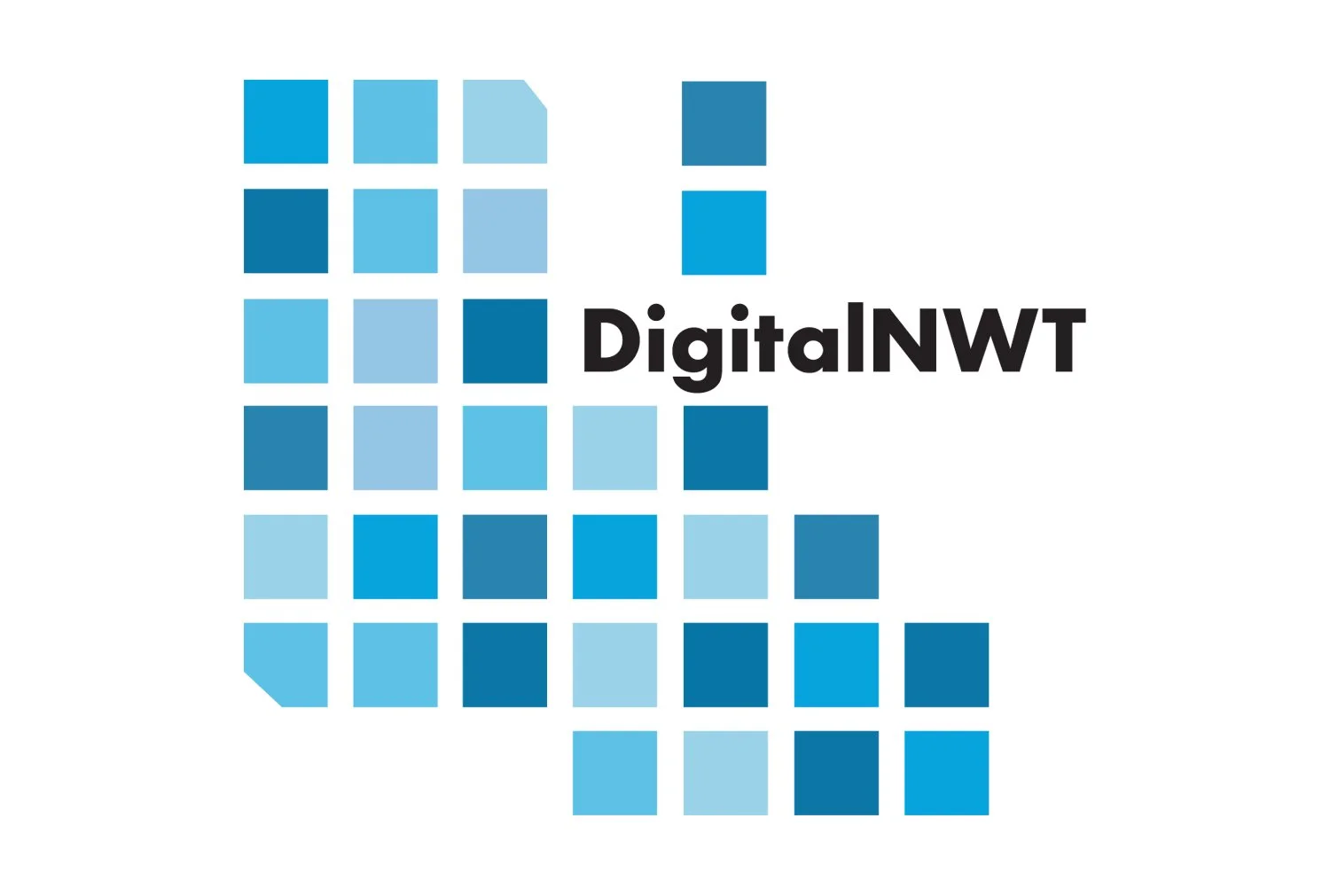 digitalnwt.jpg