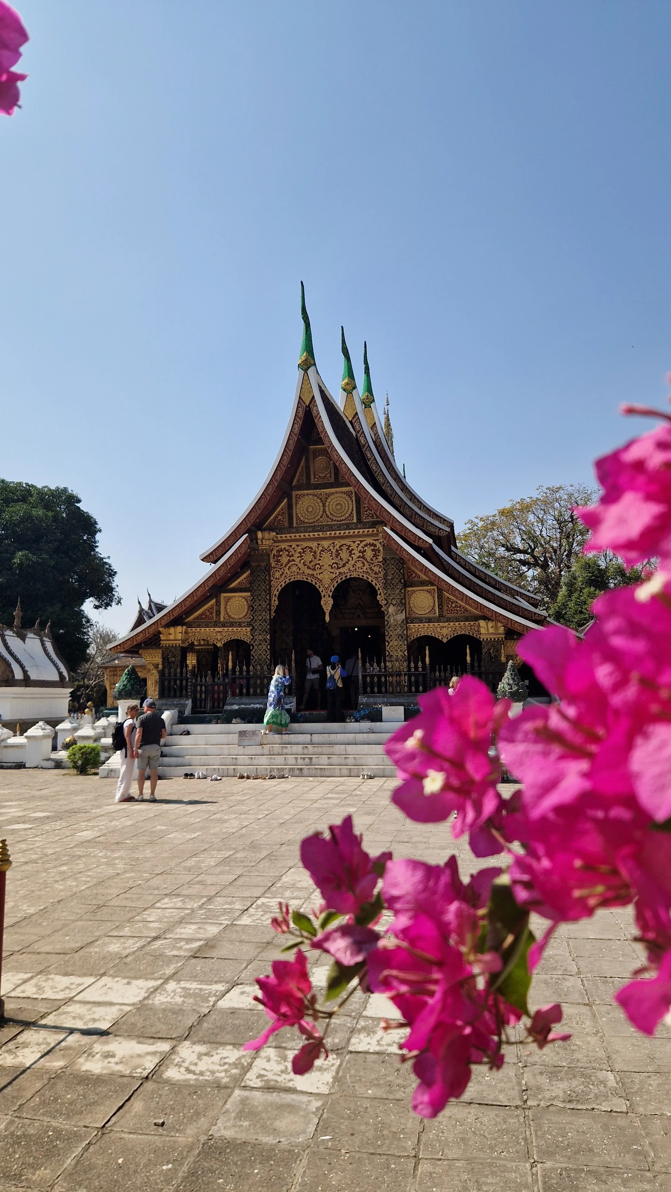 20260206_115010 (1).jpg