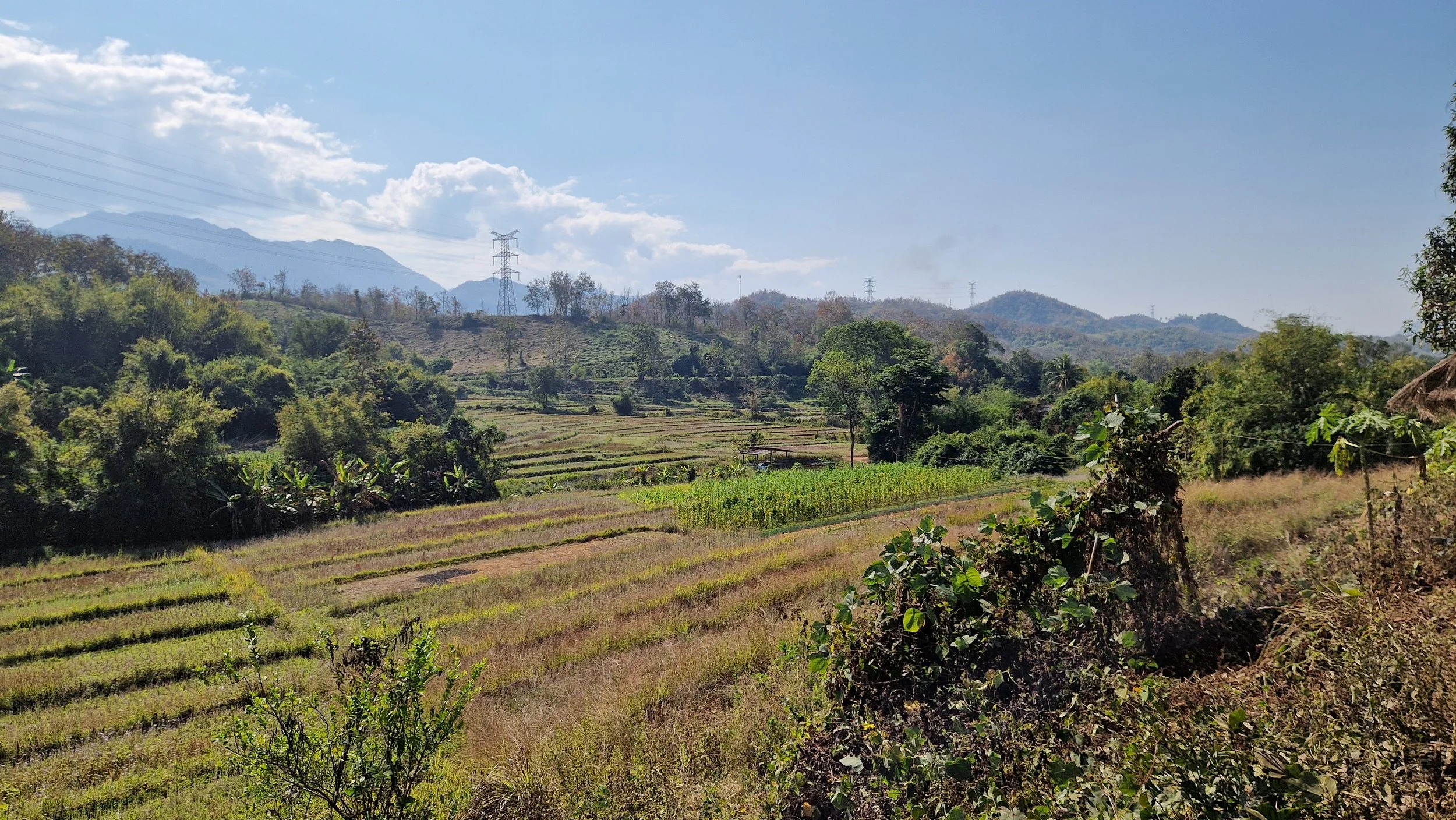 20260128_103827 (1).jpg