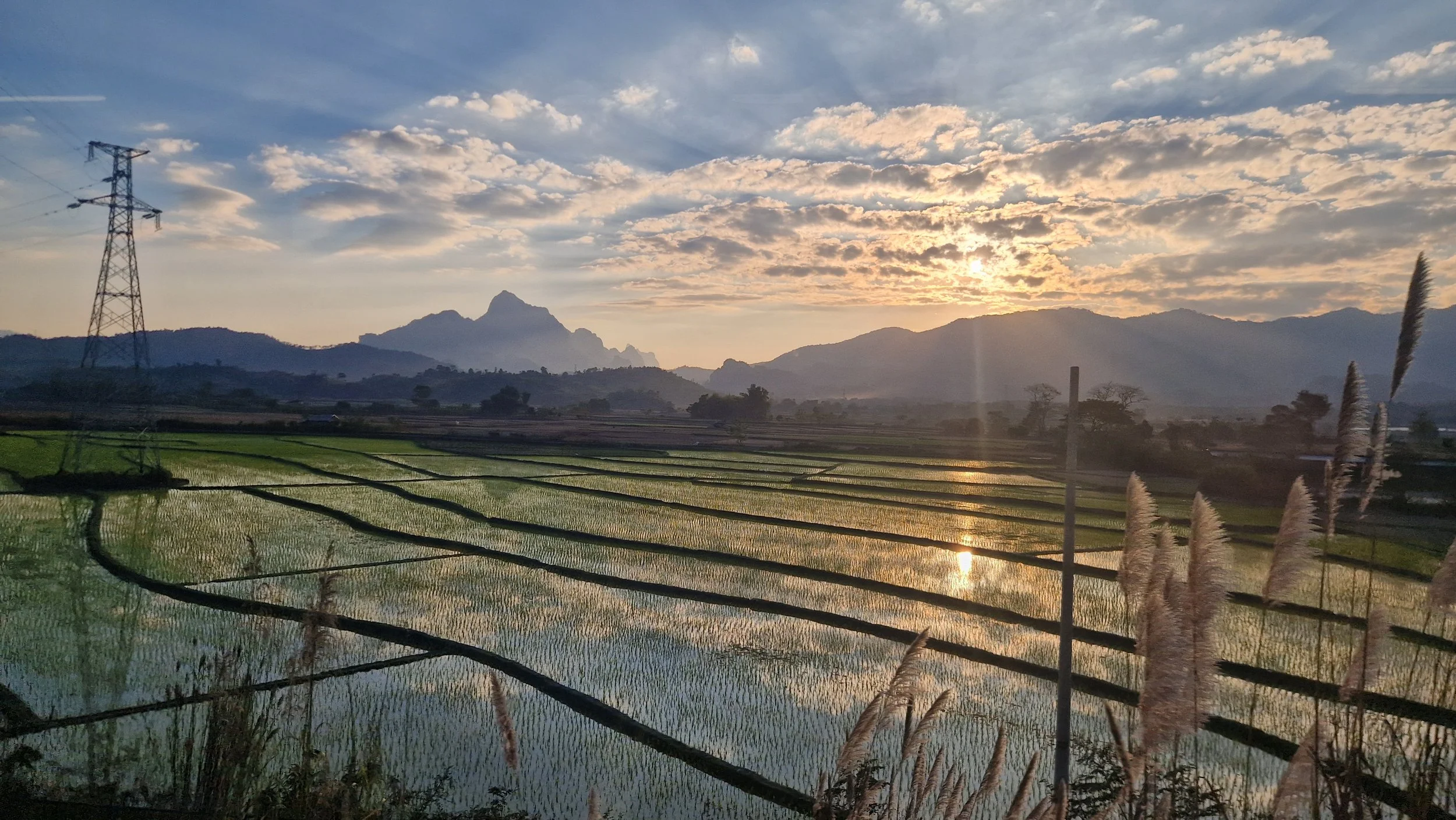 20260126_171917 (1).jpg