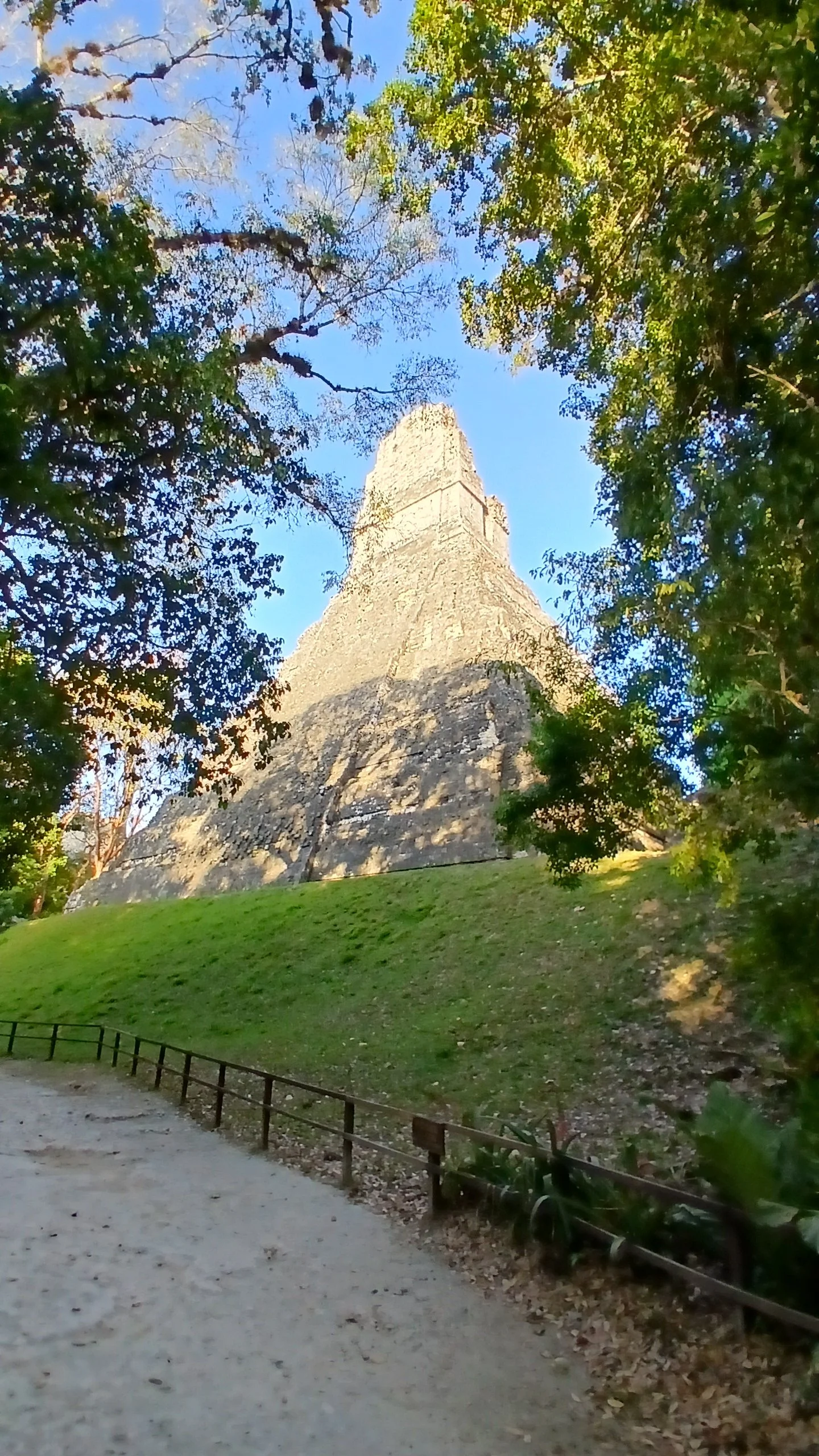20260428_062845.jpg
