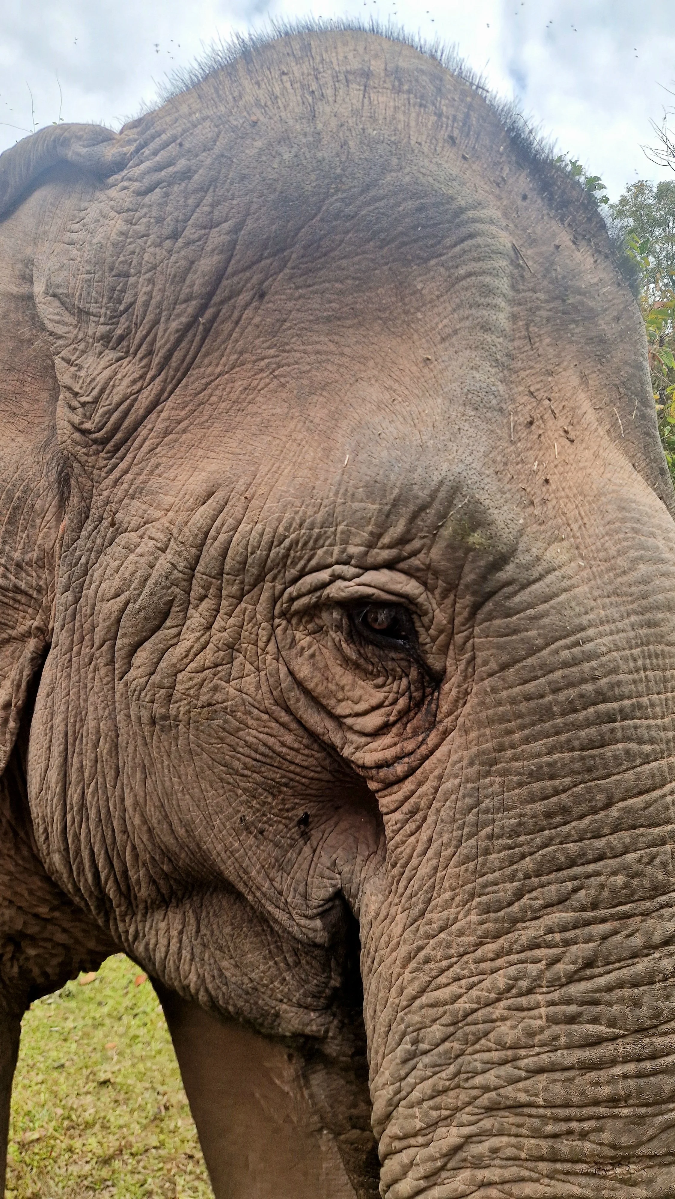 Vientiane & Lao Elephant Home, Nampouy National Park, Laos