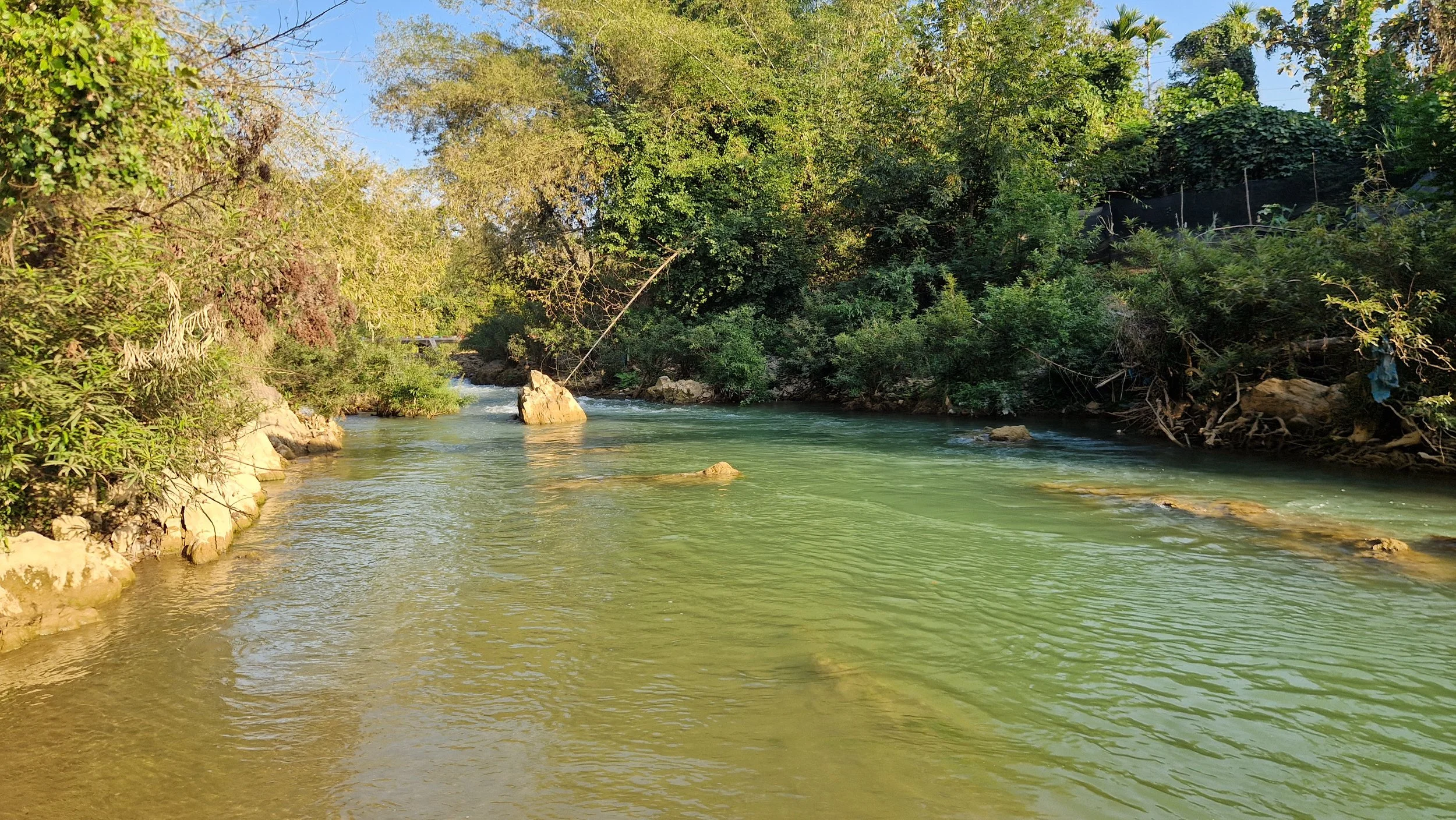 20260127_160318 (1).jpg