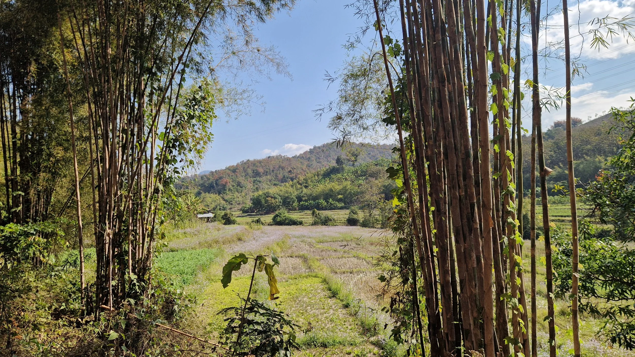 20260128_103938 (1).jpg