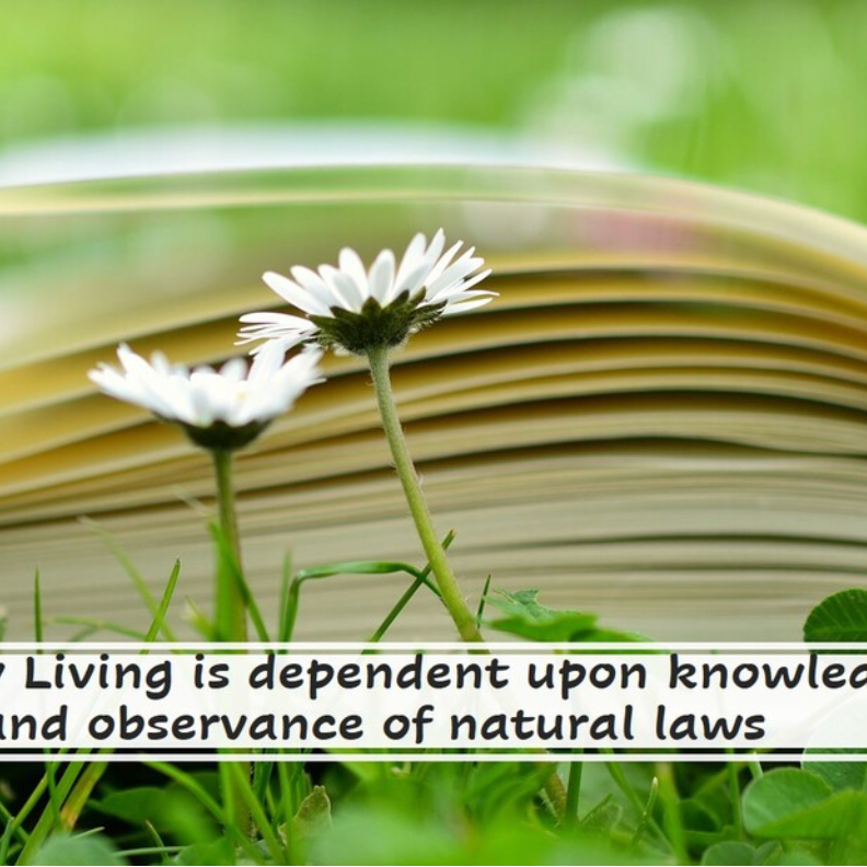 The Principles of Healthful Living