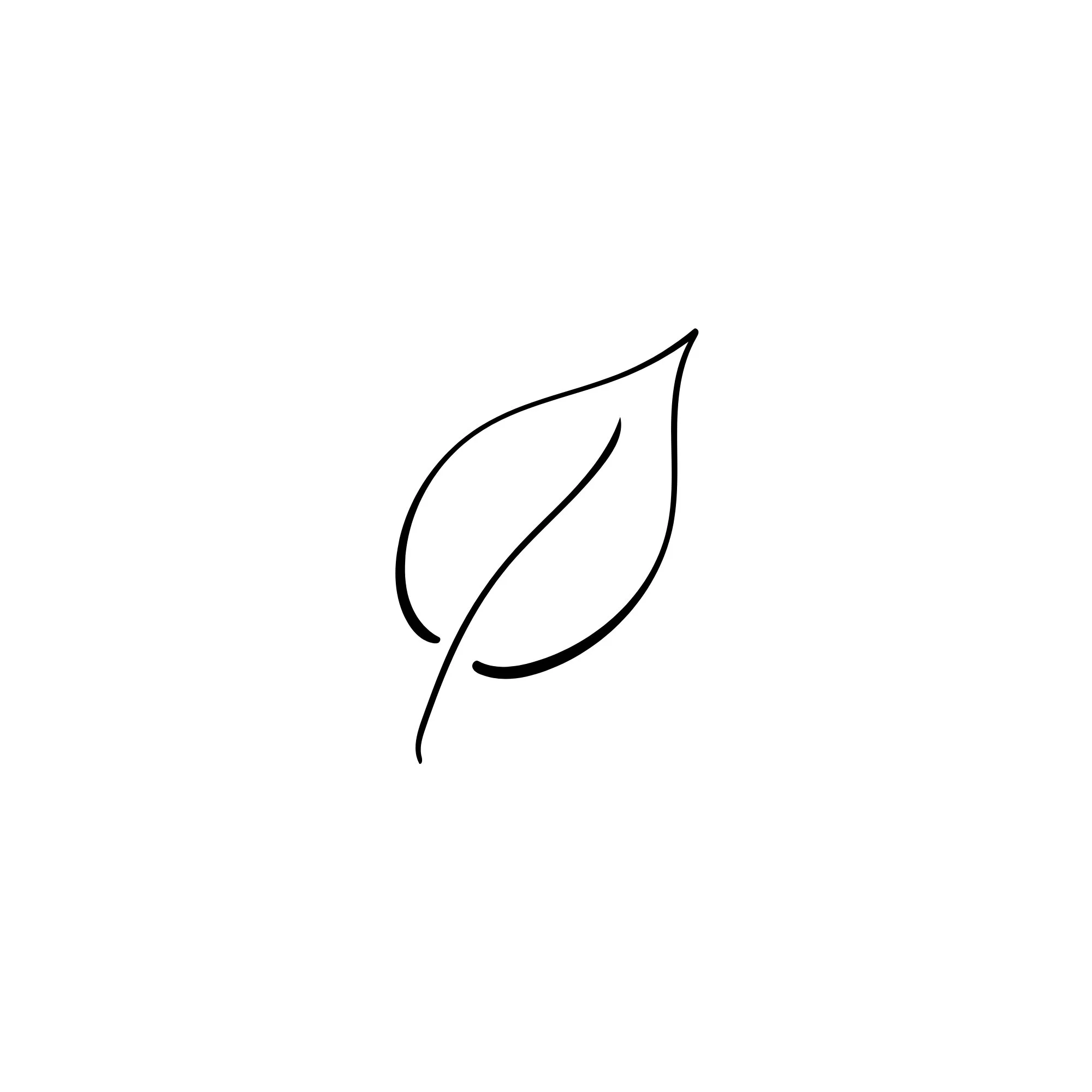 line drawing of a leaf