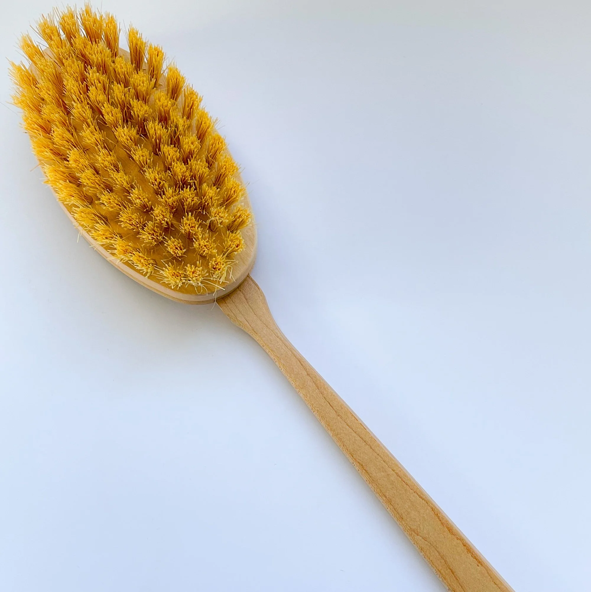 vegetable-fiber-skin-brush.jpeg: Vegetable fiber skin brush with long wooden handle