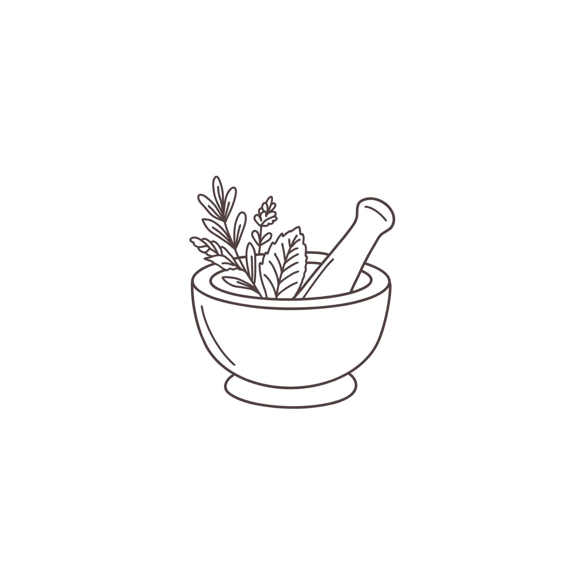 line drawing of a mortar and pestle with plants inside of it