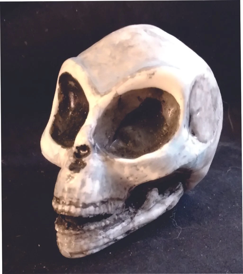 Decorative miniature Alien Skull