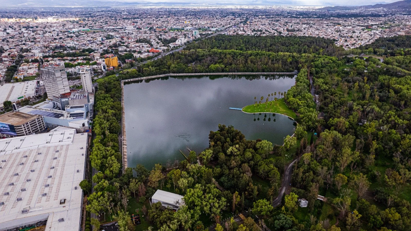 Aerial view of a city park with a large rectangular lake, surrounded by dense green trees, with urban buildings and streets in the background.