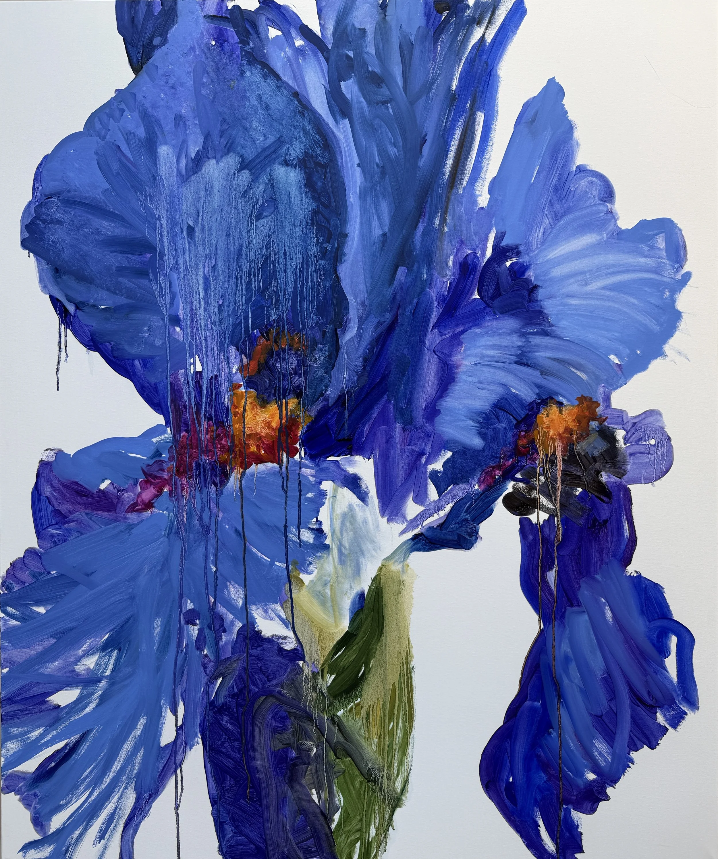 'Iris Lyssa" Oil on Canvas 120cm x 100cm 2025