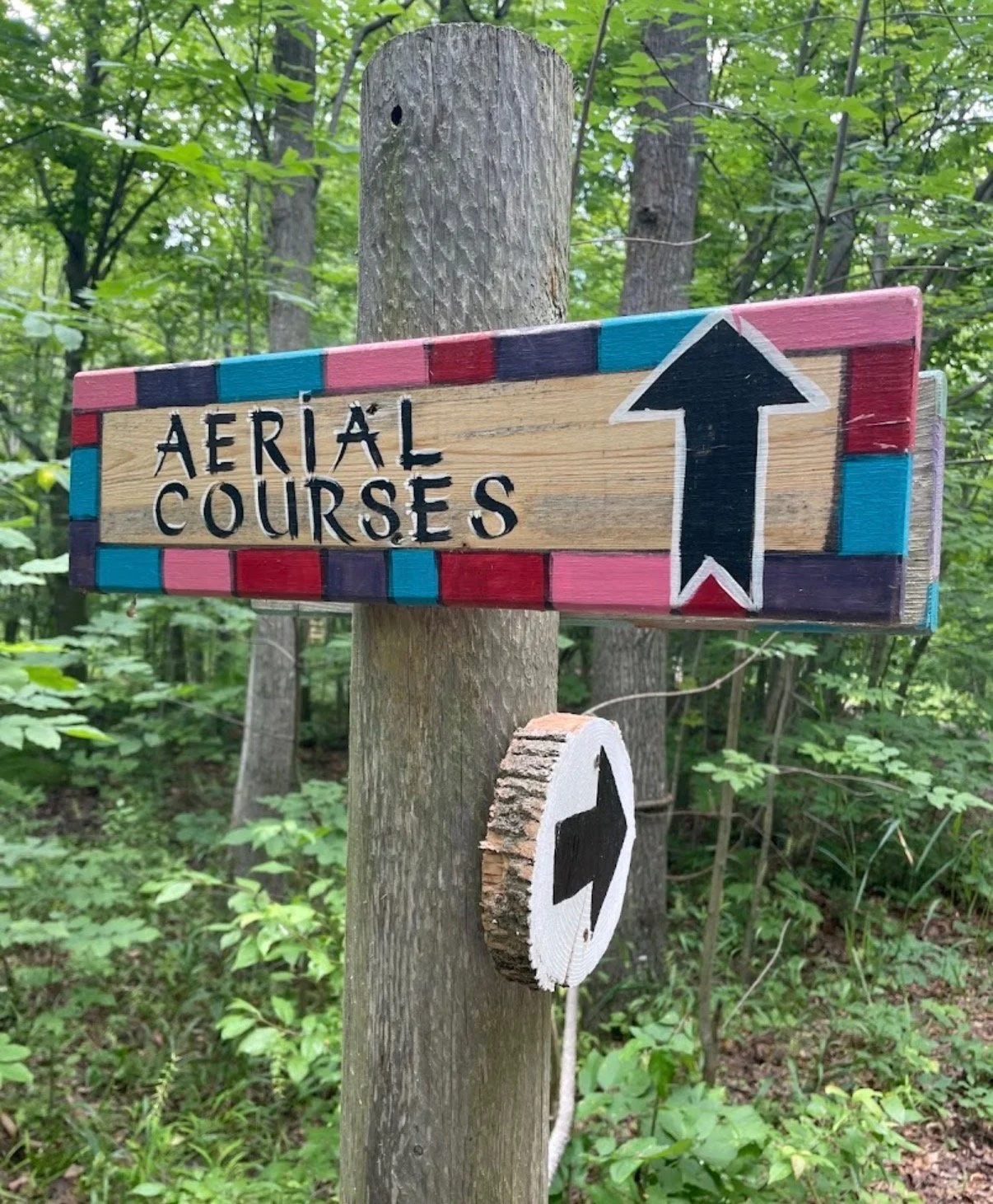 Recovery, Connection &amp; a Little Summer Fun