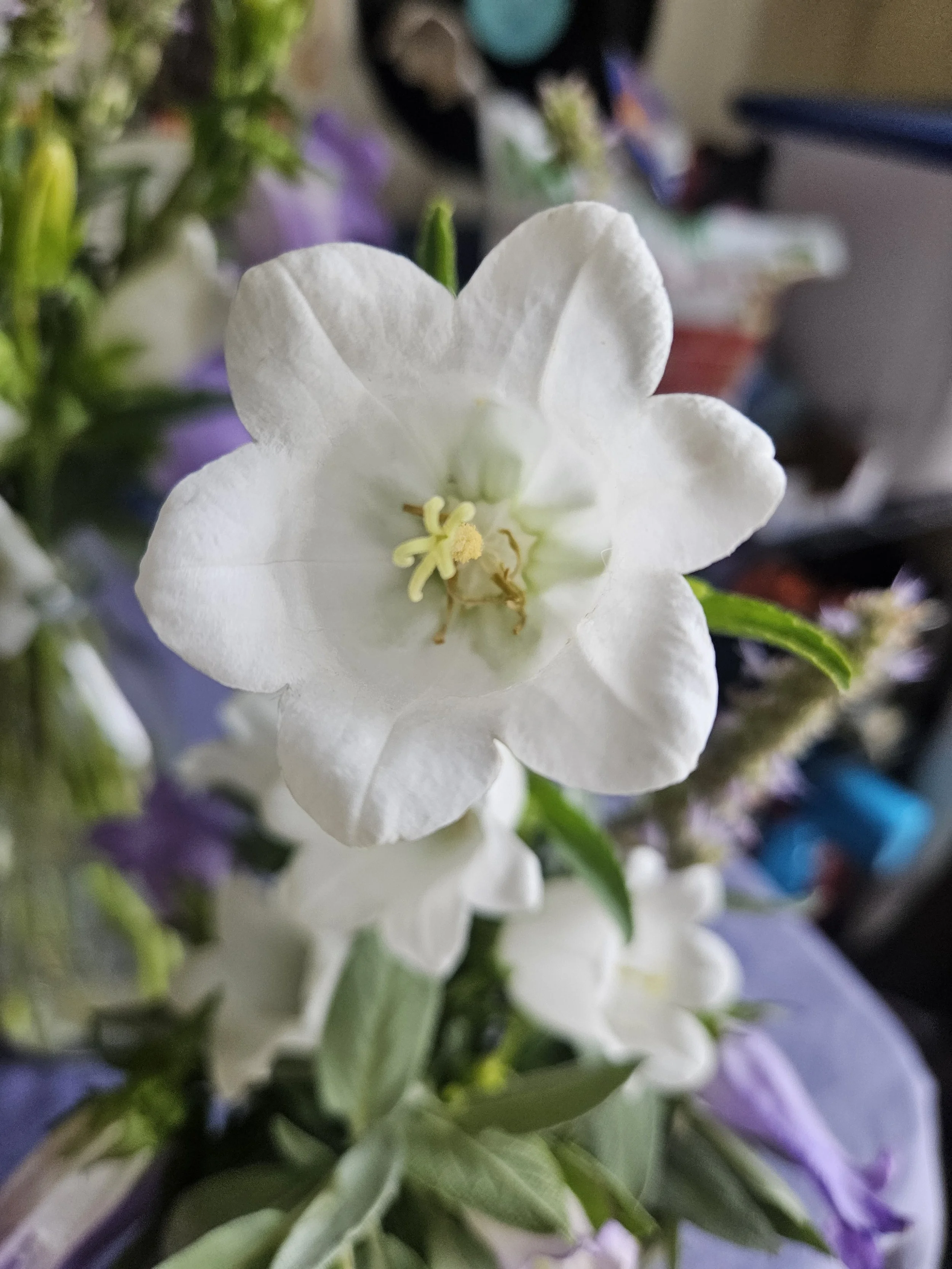 Pop-Up at CC's Flowers