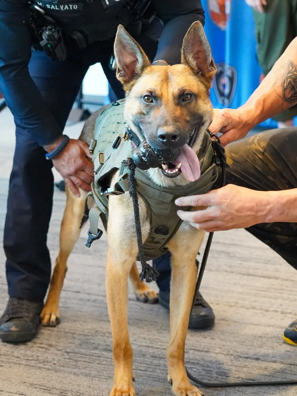 K9 Loco