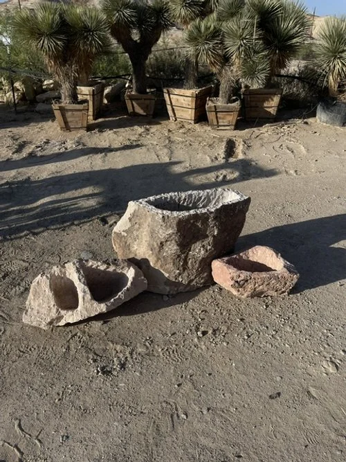 image1.jpeg
