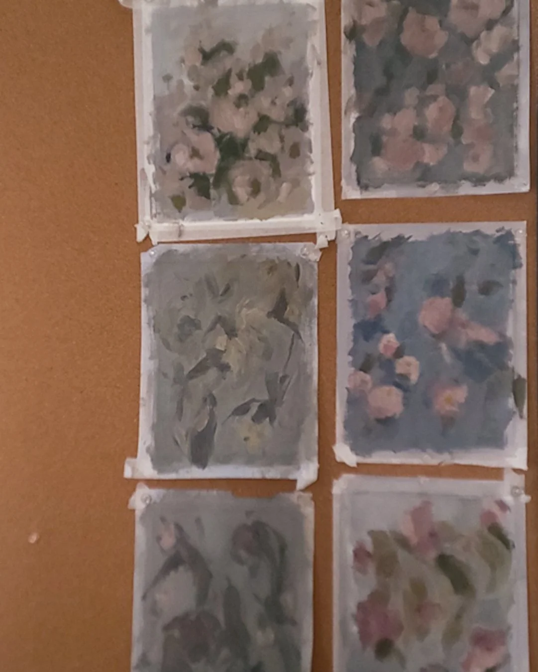  pinned another study to dry with its friends 