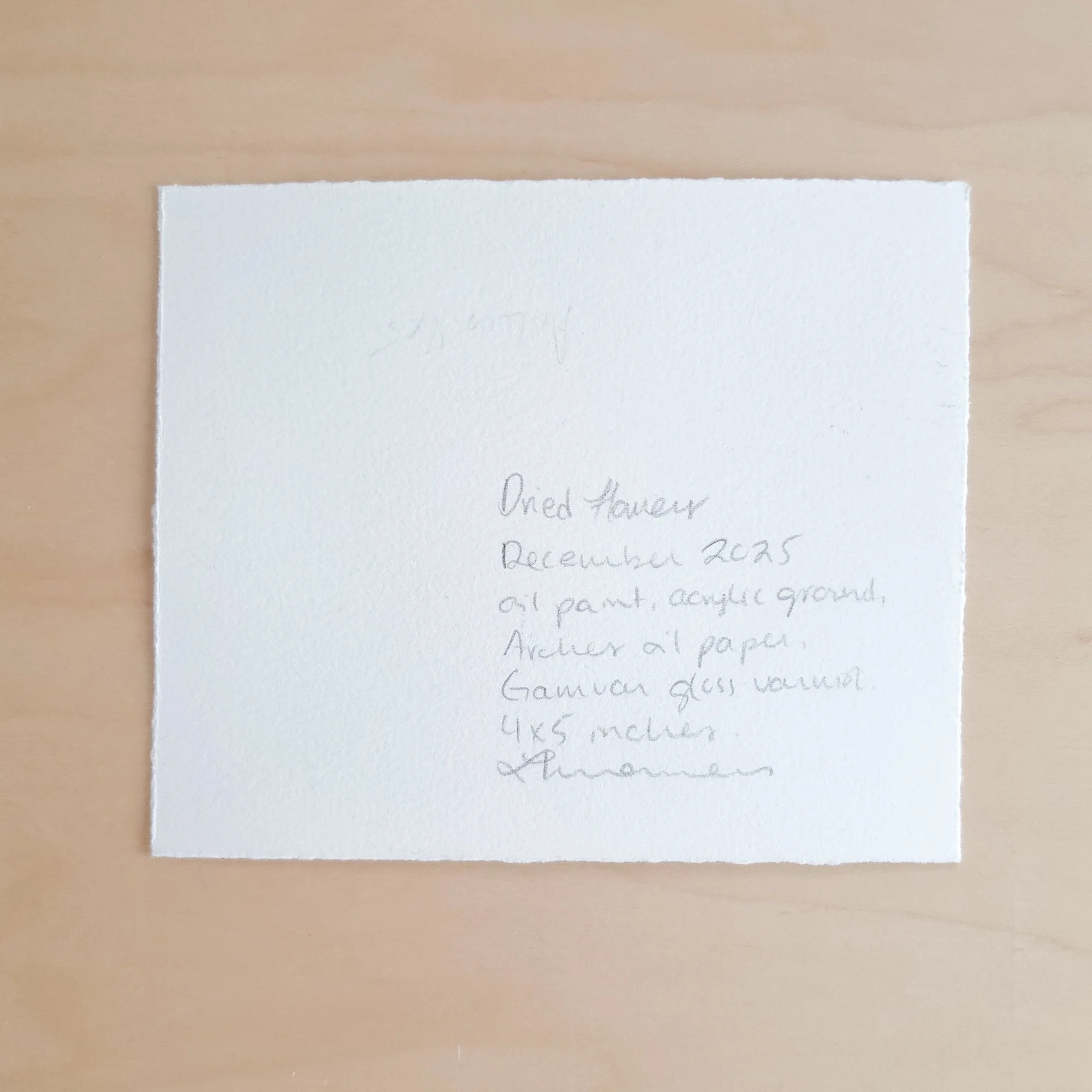 Original Botanical Oil Painting 55.jpg