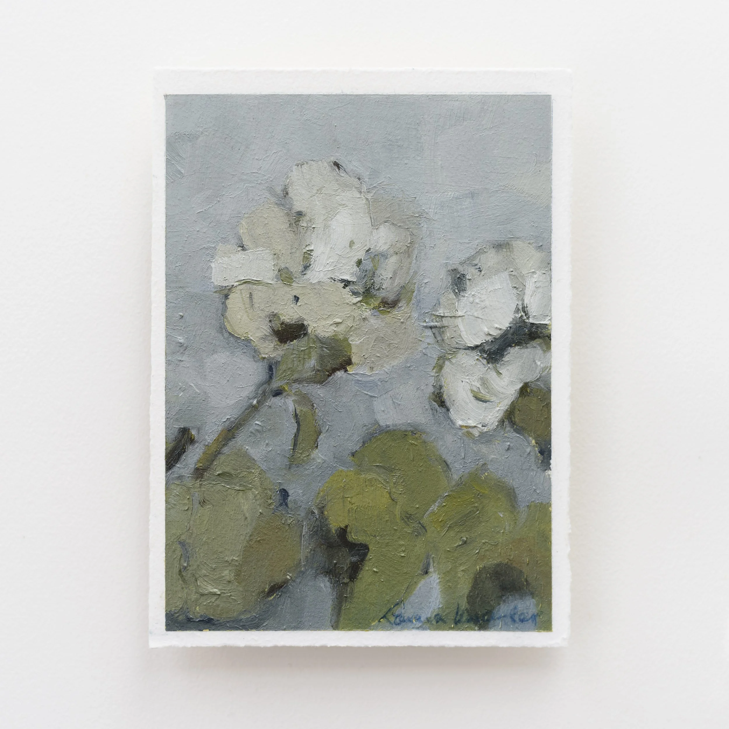 Window Box Geraniums, no. 2 (5x7, Oil on paper)