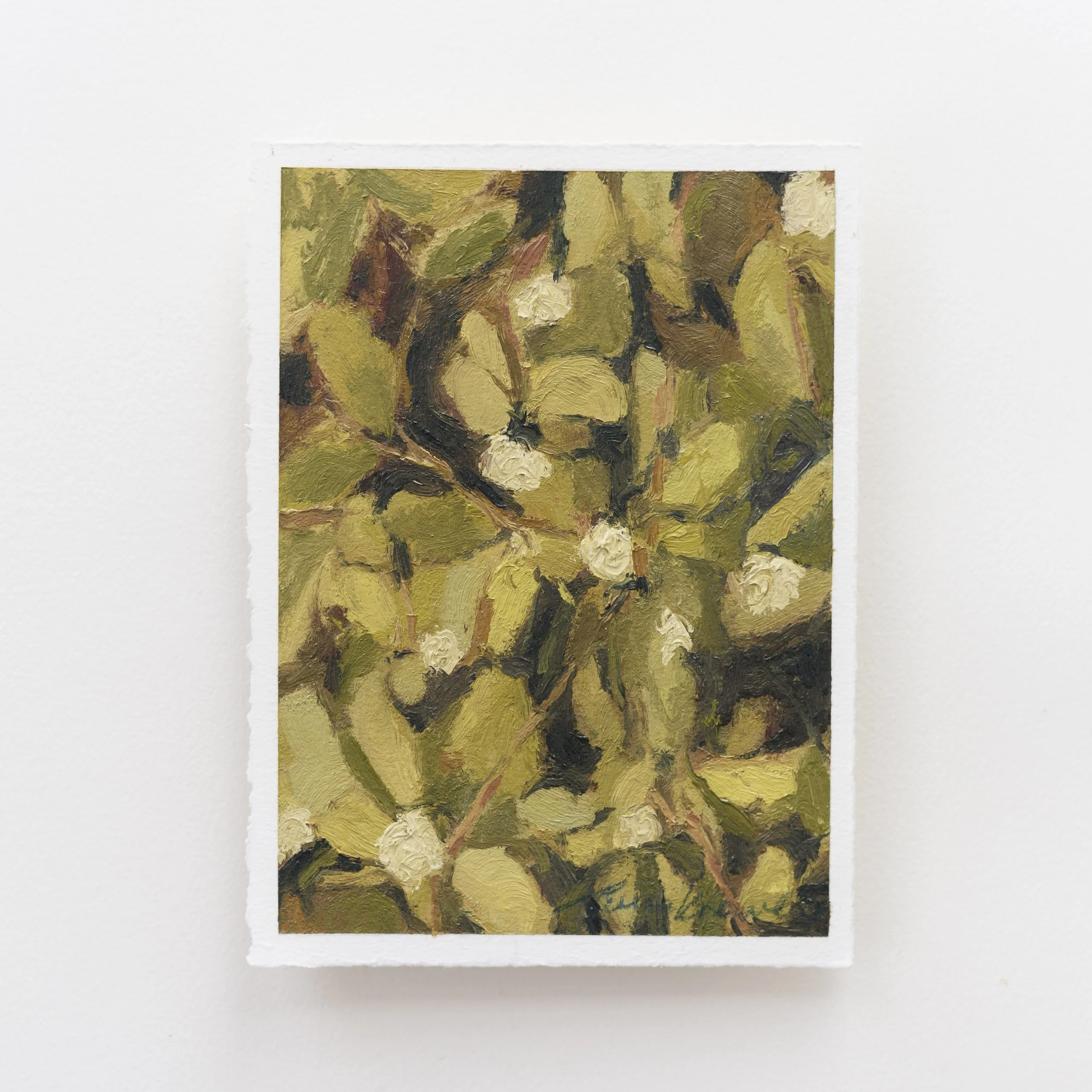 Clematis in Autumn (5x7, Oil on Paper)