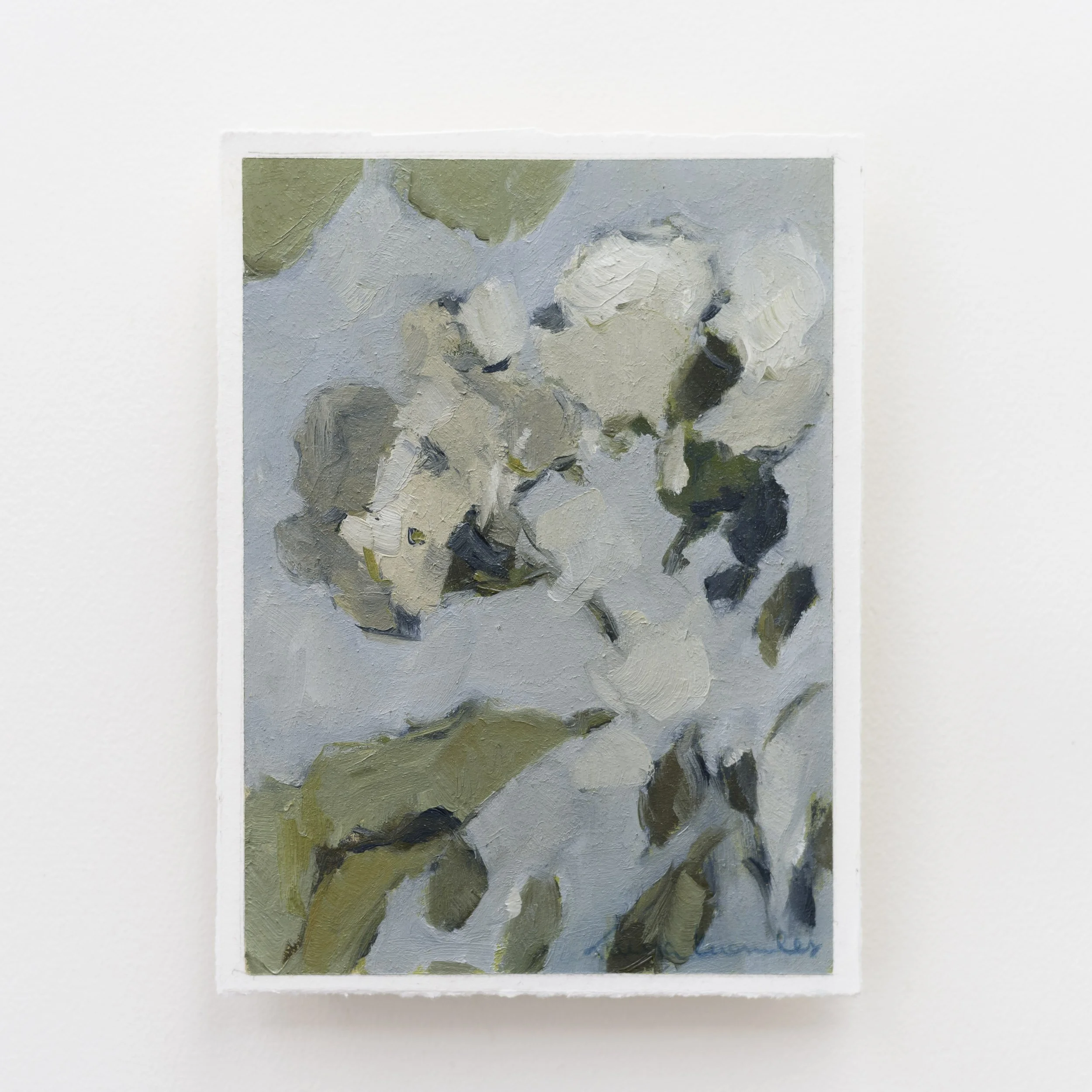 Window Box Geranium, no. 1 (5x7, Oil on Paper)