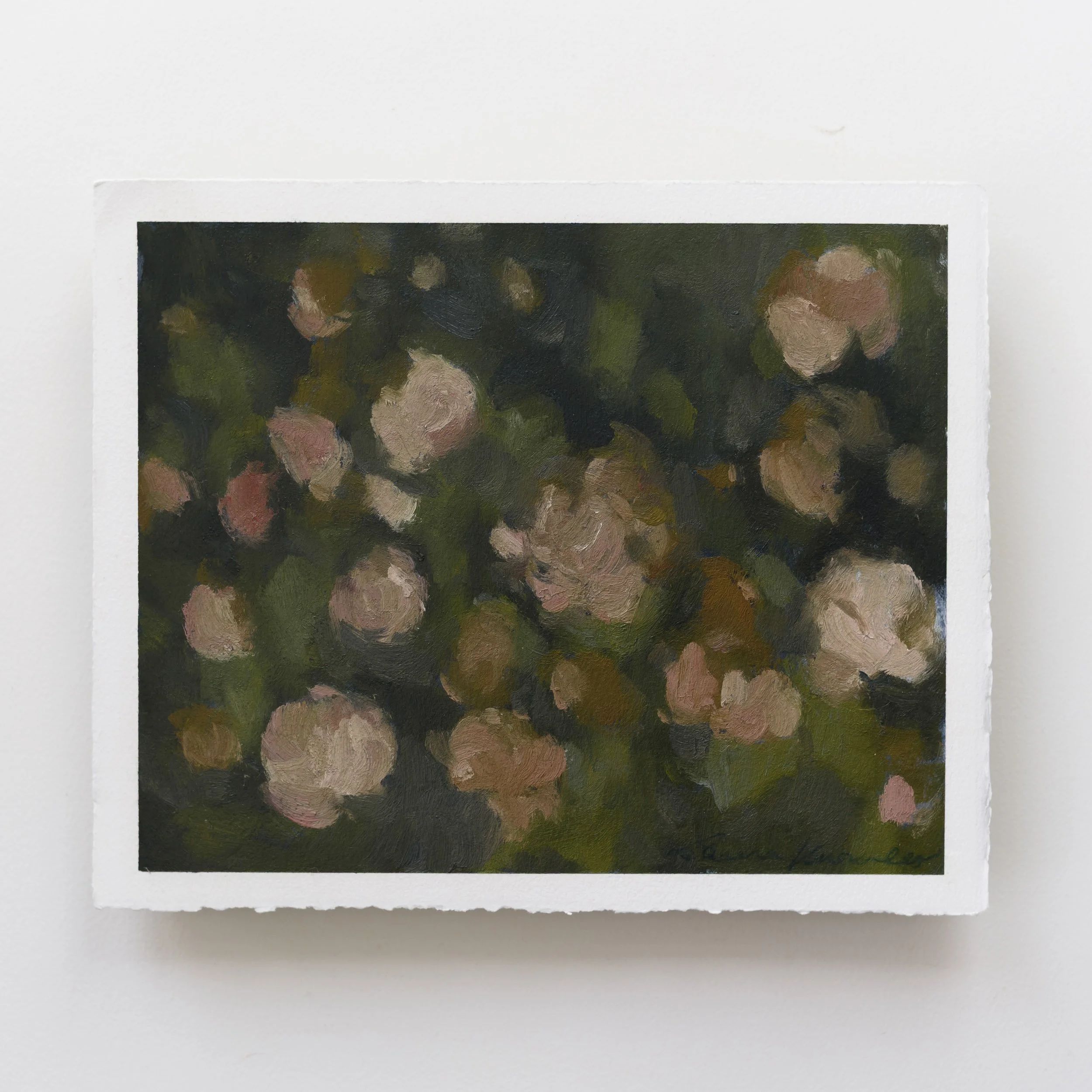 The Impression of Flowers, Evening (8x10, Oil on Paper)