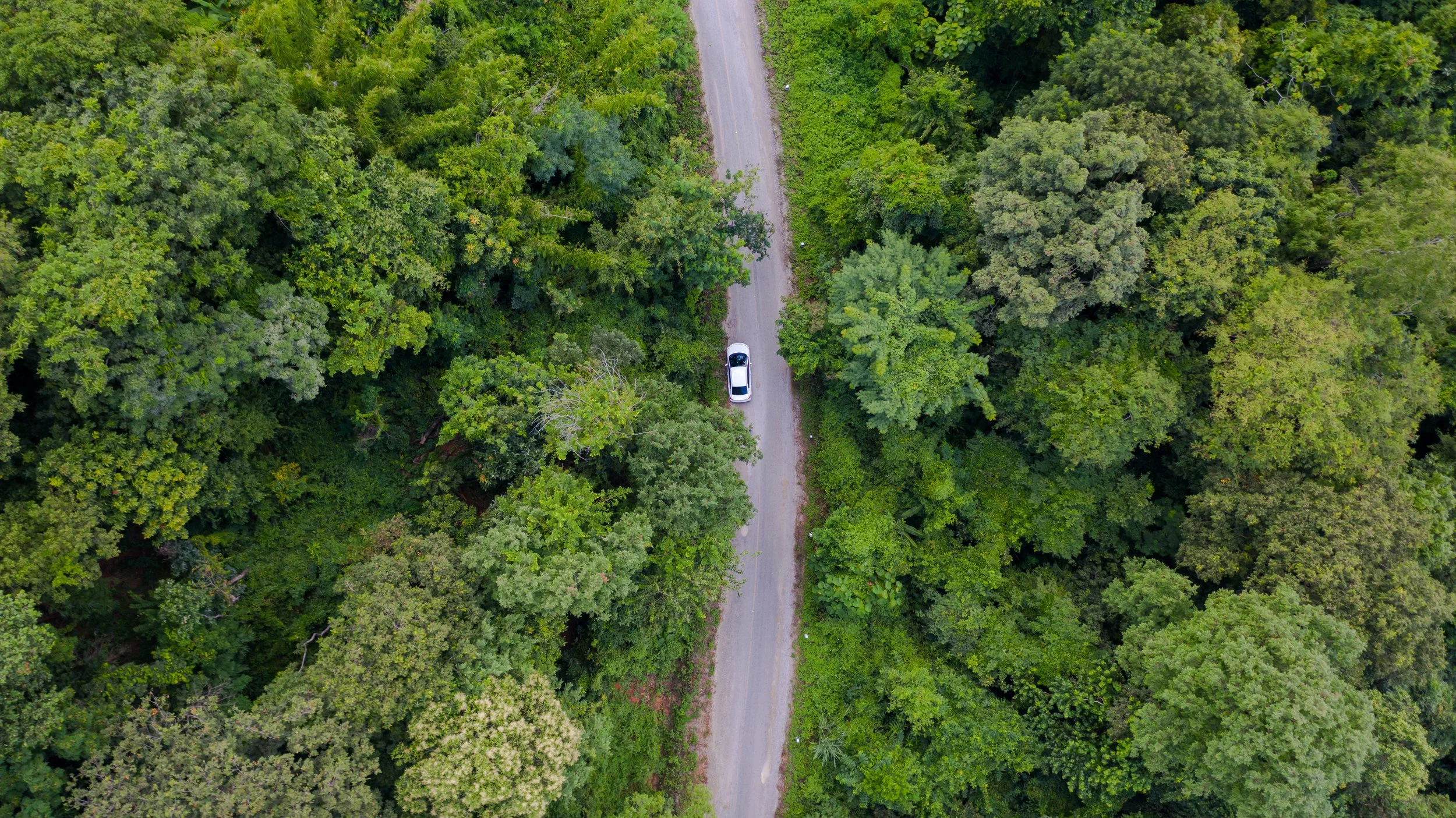 vecteezy_aerial-top-view-car-driving-through-the-forest-on-country_2305121.jpg