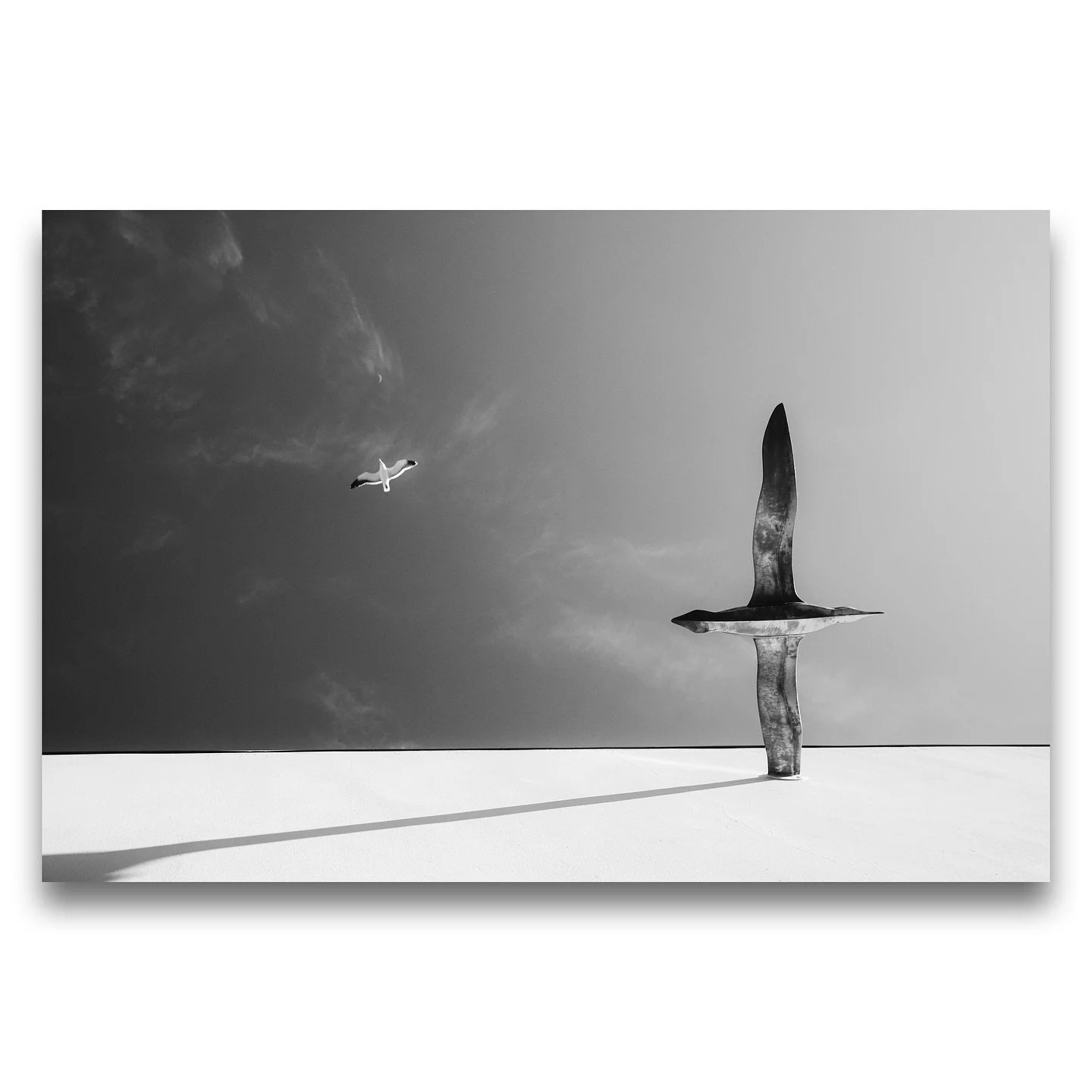 Weekend trip to Hawke&rsquo;s Bay ☀️🏖️.
Fuji X100V 
.
.
.
#fujifilm #x100v #fujifilmx100v #hawkesbay #newzealand #blackandwhite