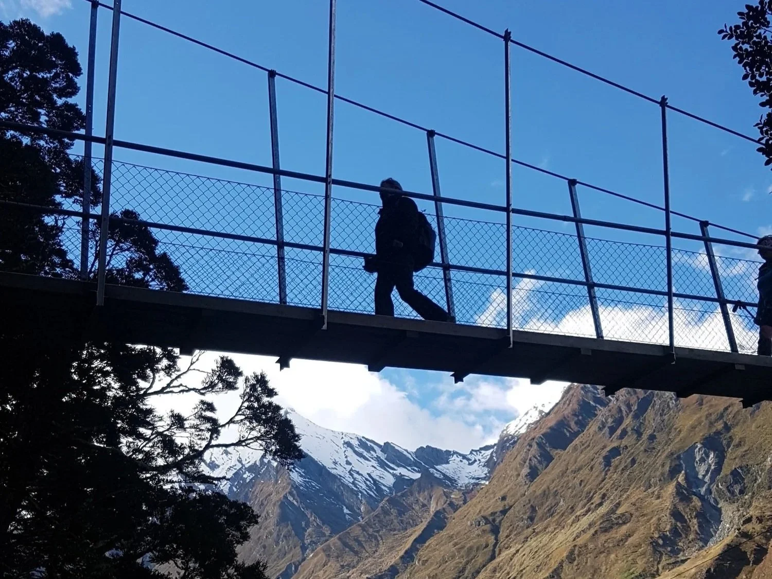 EWA+Rob+Roy+glacier+Swing+Bridge+silhouette.jpg