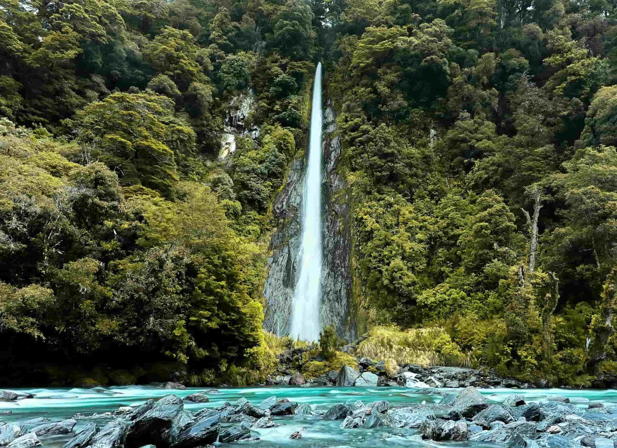 unsplash-image-lAp6zW_ccw8_compressed.jpg