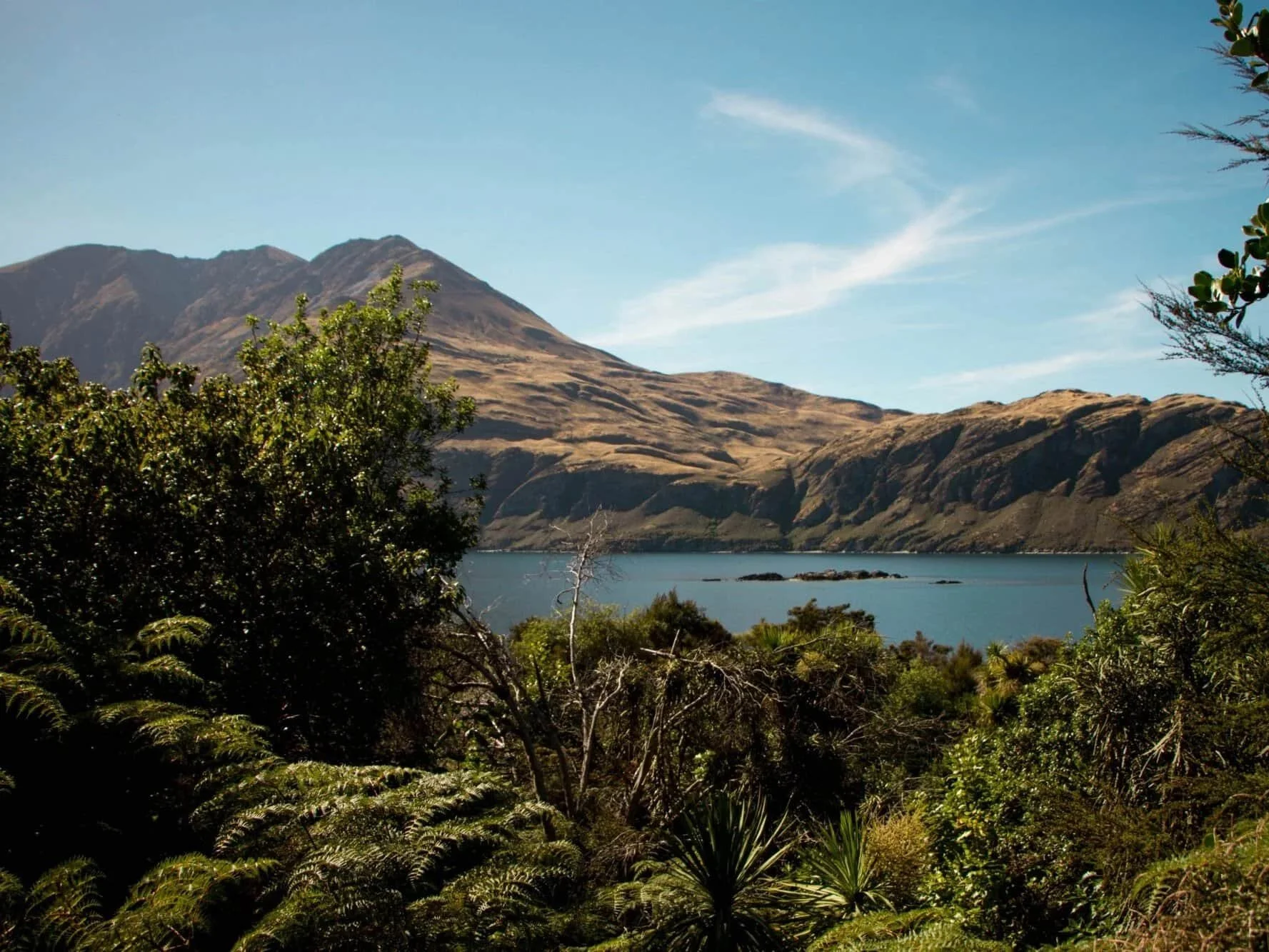 Wanaka-Water-Taxi-Mou-Waho-trail-view-JessieByrne-2000x1333_compressed.jpg