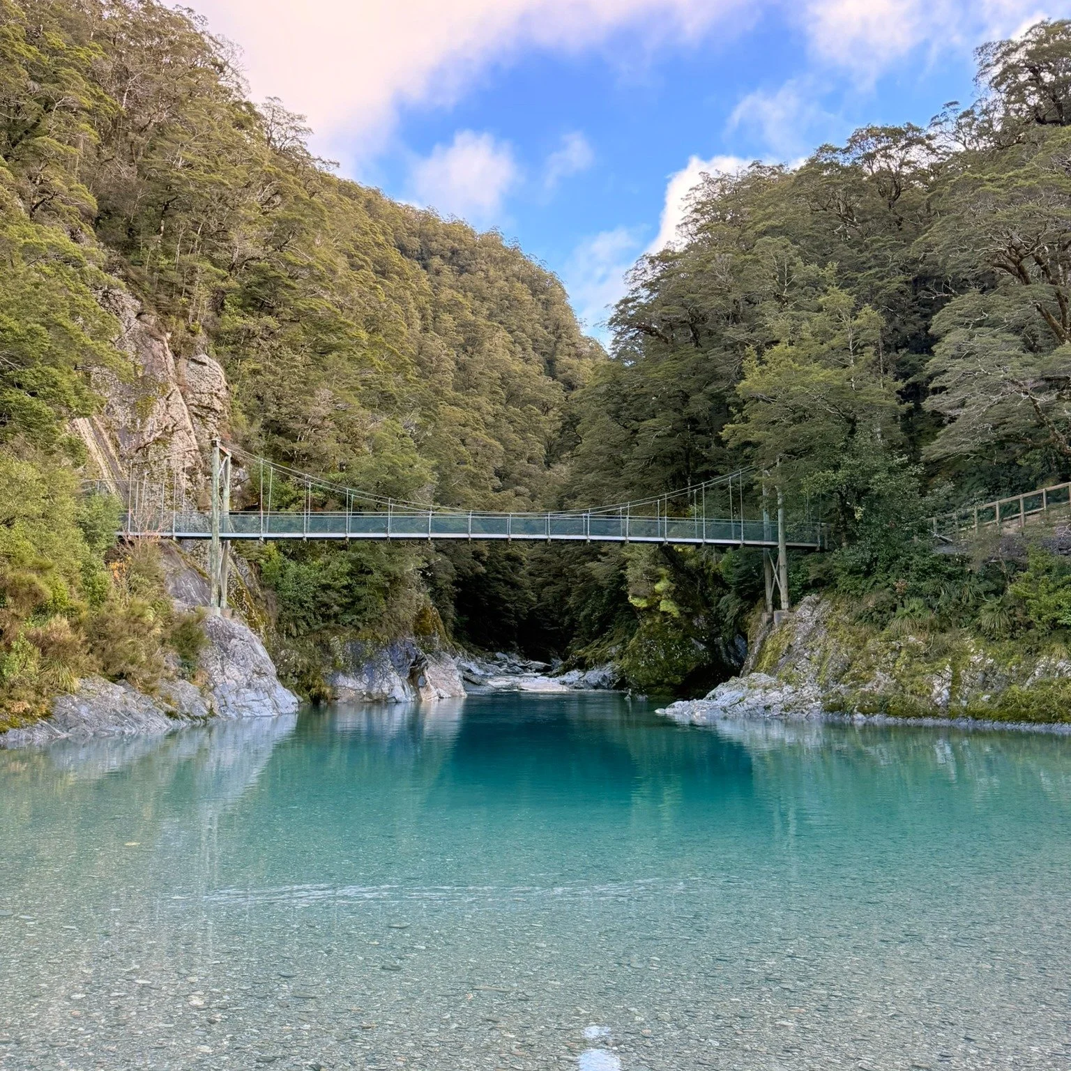 Spring is here, and it is a great time to come with us and find out just how Blue those Pools are! 

Our Blue Pools &amp; Bridle Track day tour has it all. Explore Silver Beech forest, spot feeding Rainbow &amp; Brown trout from the swing bridge, tak