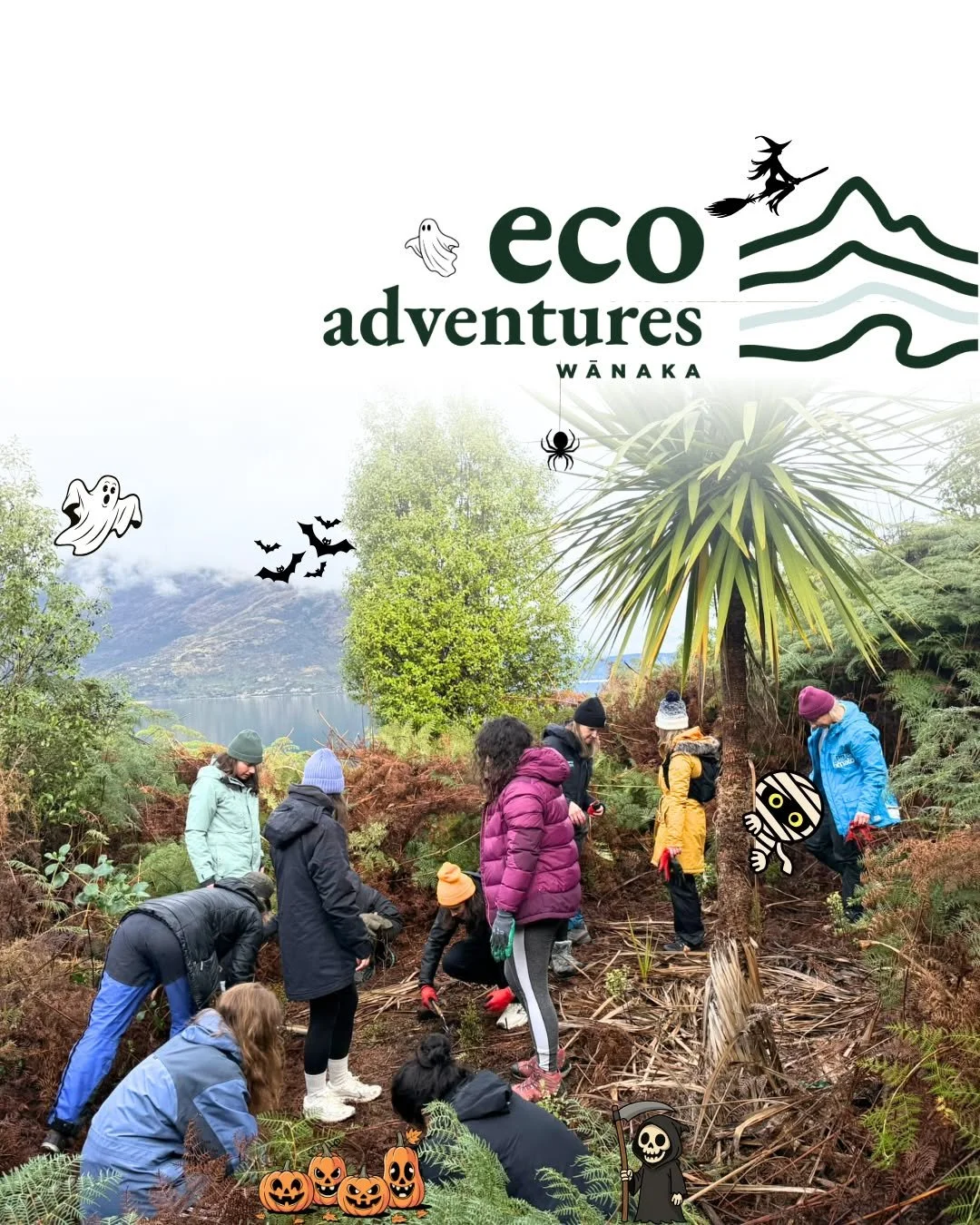 HAPPY HALLOWEEN 🎃🕷 
How many spooky surprises can you see from last week's tree planting trip to Mou Waho? Leave us a comment below with your guess ⬇ #happyhalloween #spookyseason #treeplanting #conservation #mouwahoisland