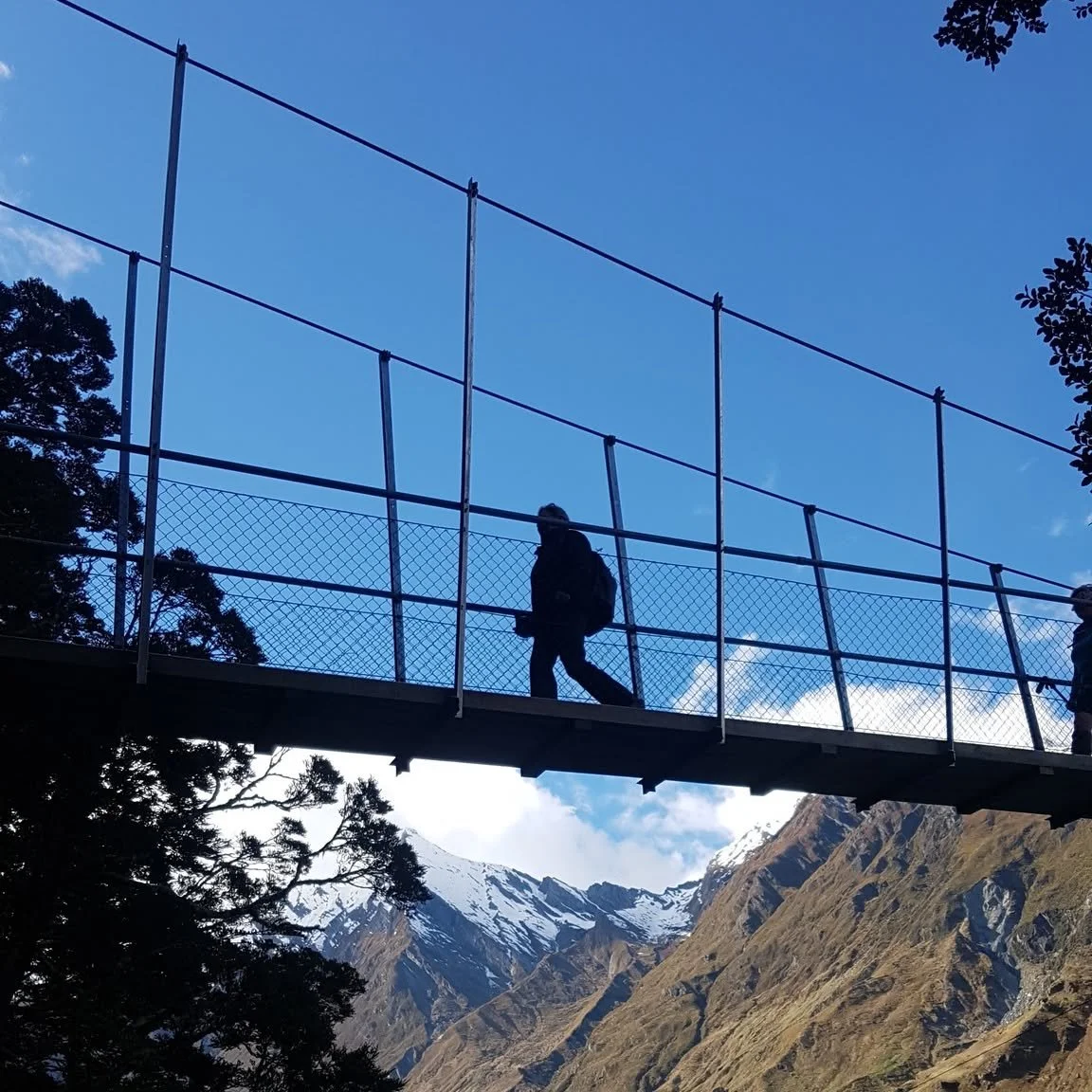 It's Friday, time for an Eco Adventure! Enter Mt Aspiring National Park with us this weekend and experience the stunning vistas on our doorstep! #ecotours #mtaspiringnationalpark #guidedtour #wanaka #newzealand