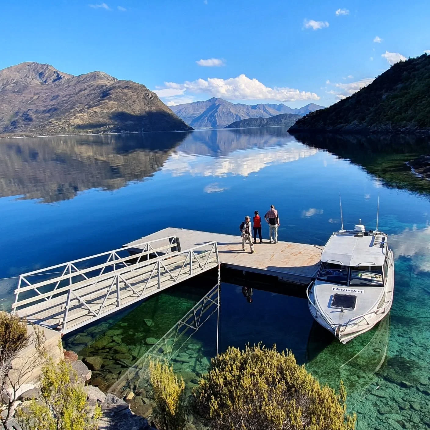 Visit Mou Waho this summer! The island on a lake, on an island...on a lake! Help us in our regenerative efforts and plant a native tree during your visit. Make your visit to Wānaka an eco-friendly one by giving back to the island and it's inhabitants