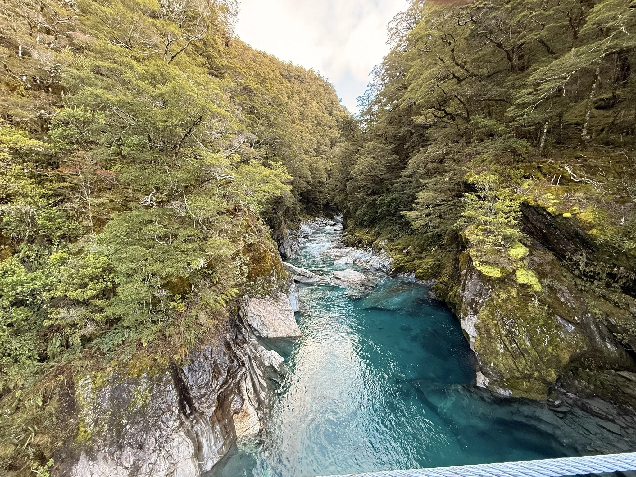 The Role of Forests in Creating Clean Water