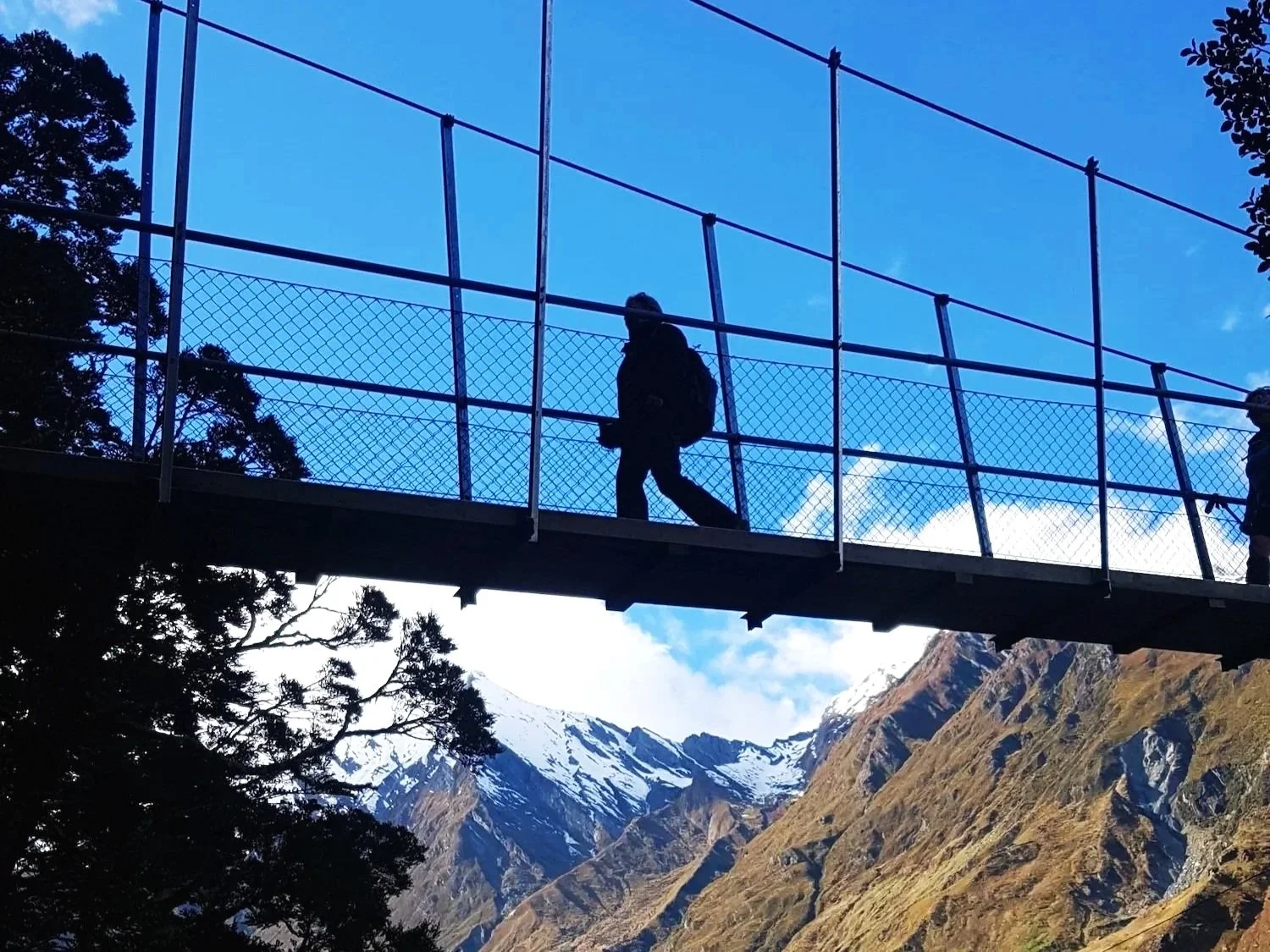 EWA%2BRob%2BRoy%2Bglacier%2BSwing%2BBridge%2Bsilhouette.jpg