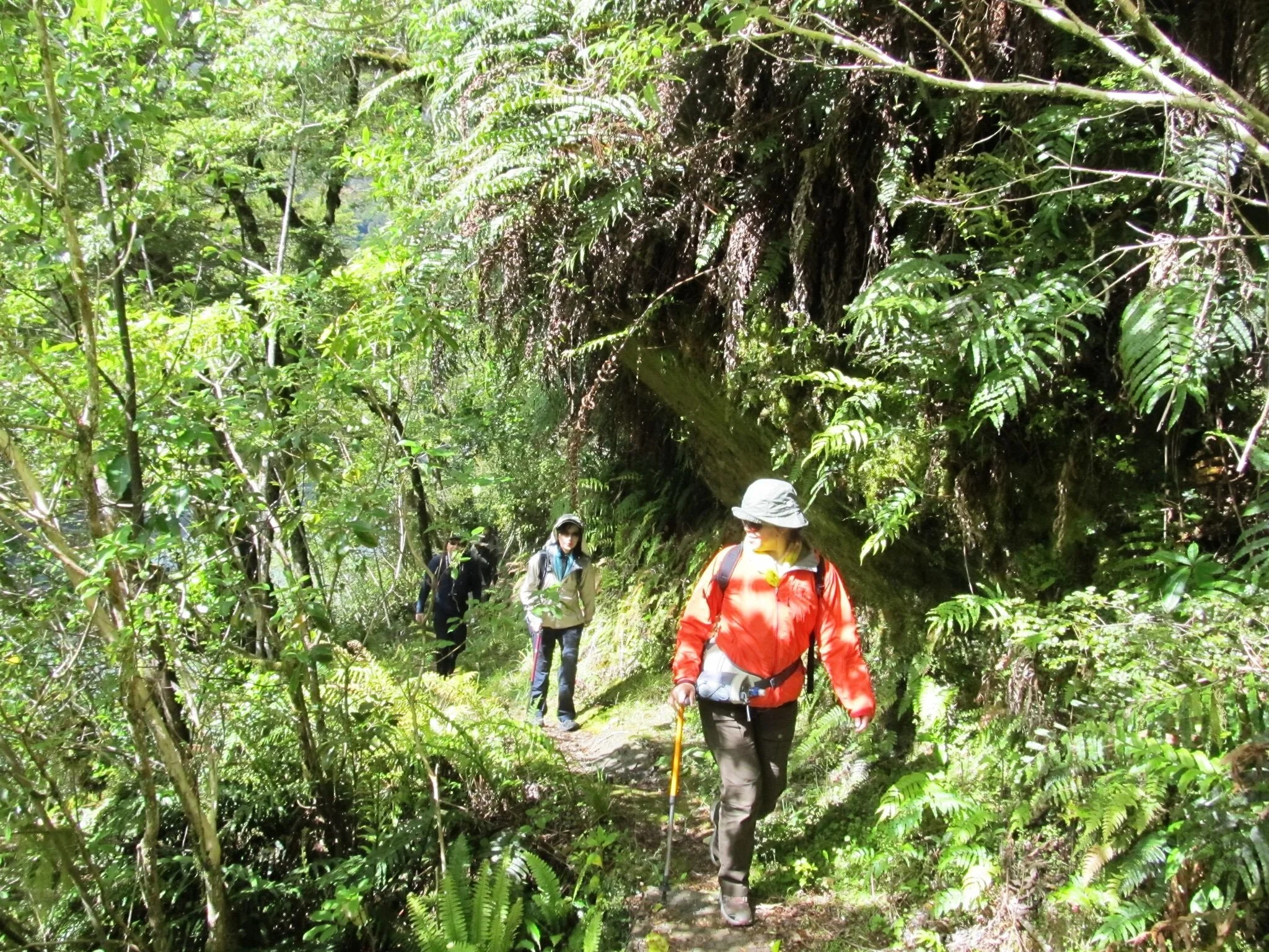 EWA Bridle Track- Biue Pools Walk clients walking track.jpg