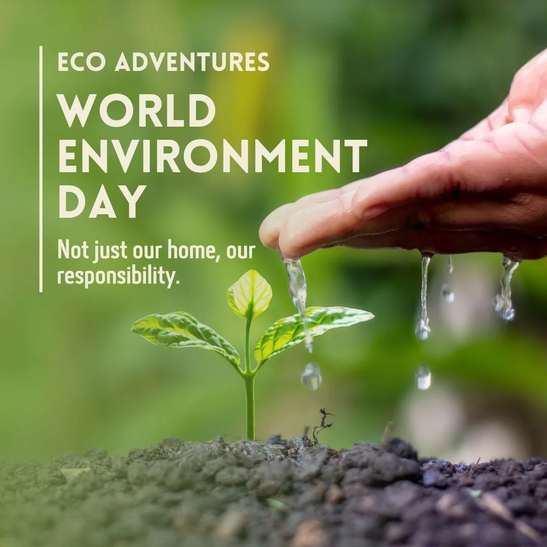 It is #worldenvironmentday ! The world isn't just our home, it is our responsibility. This month you can participate in community cleanups, plant native trees, organize eco-friendly events or reduce your single-use plastics. At Eco Adventures we cont