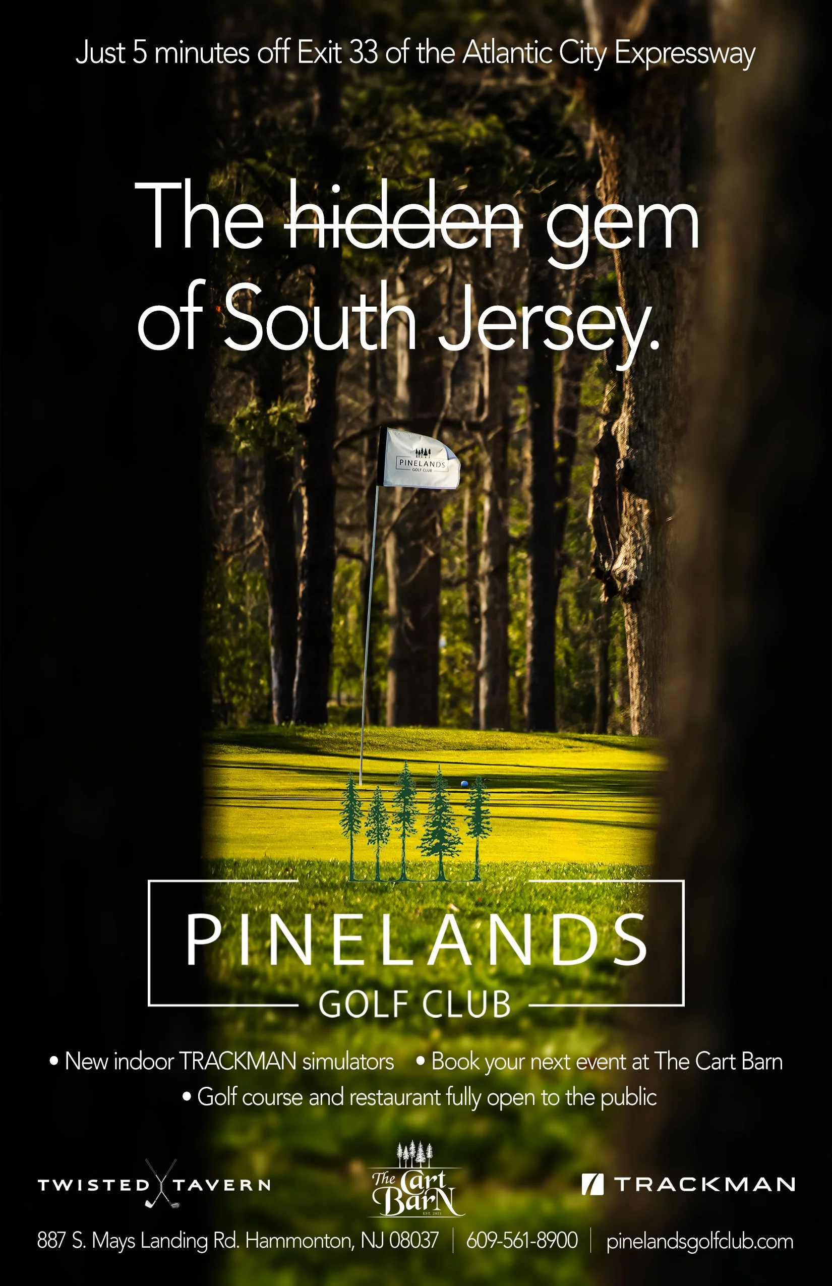 pinelands copy.jpg