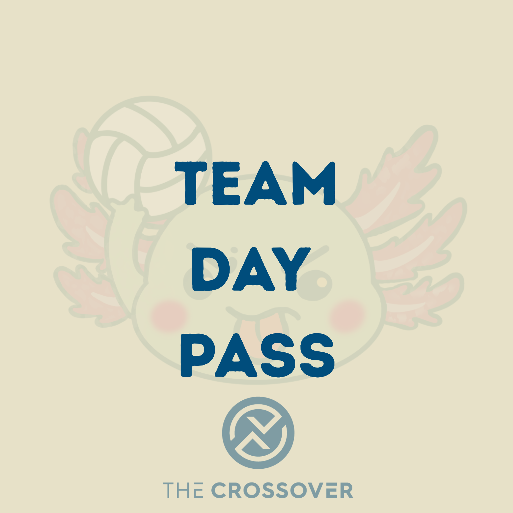 🚃 The Crossover Team Day Pass (Friday)