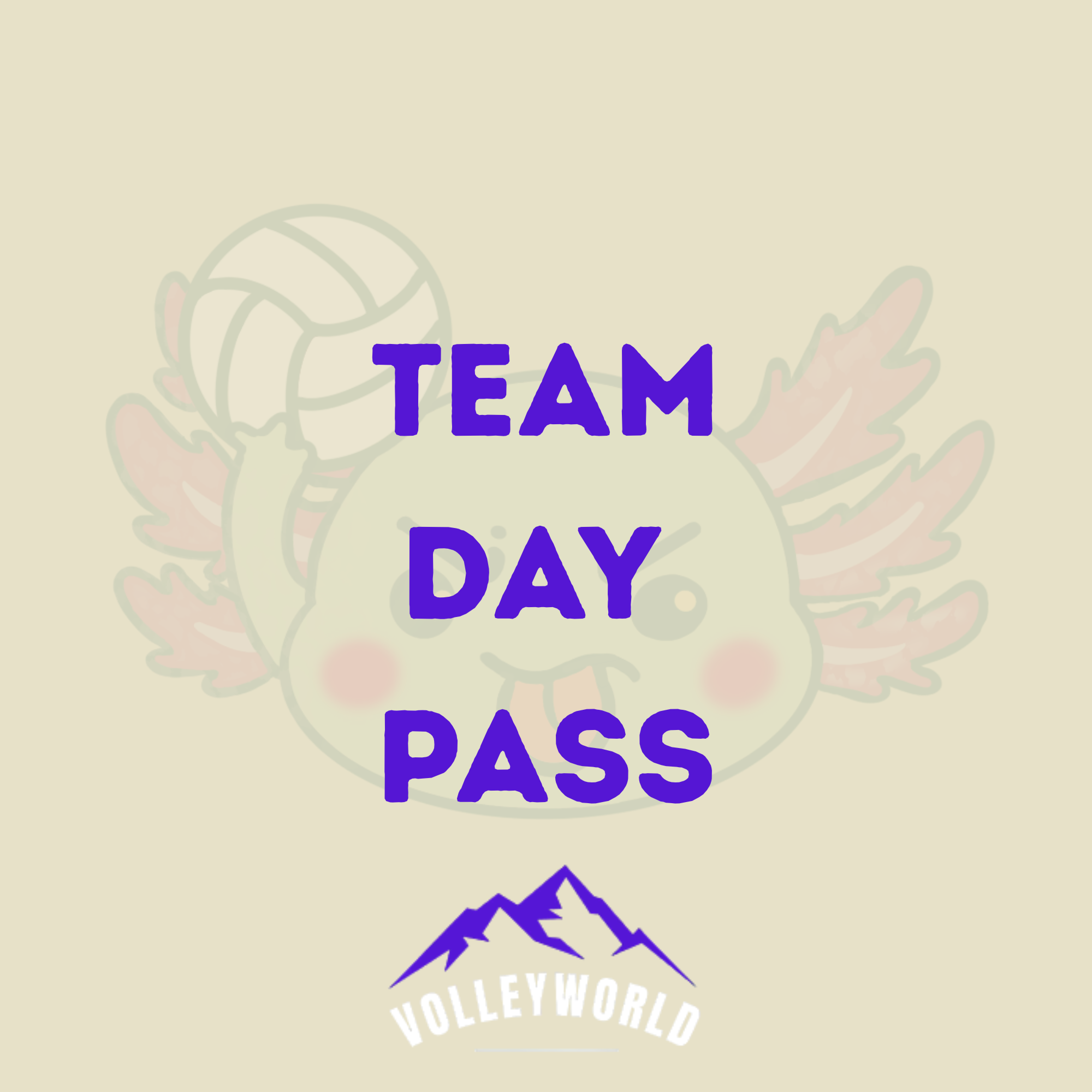🚃 Volleyworld Pflugerville Team Day Pass (Tues/Thurs/Sun)