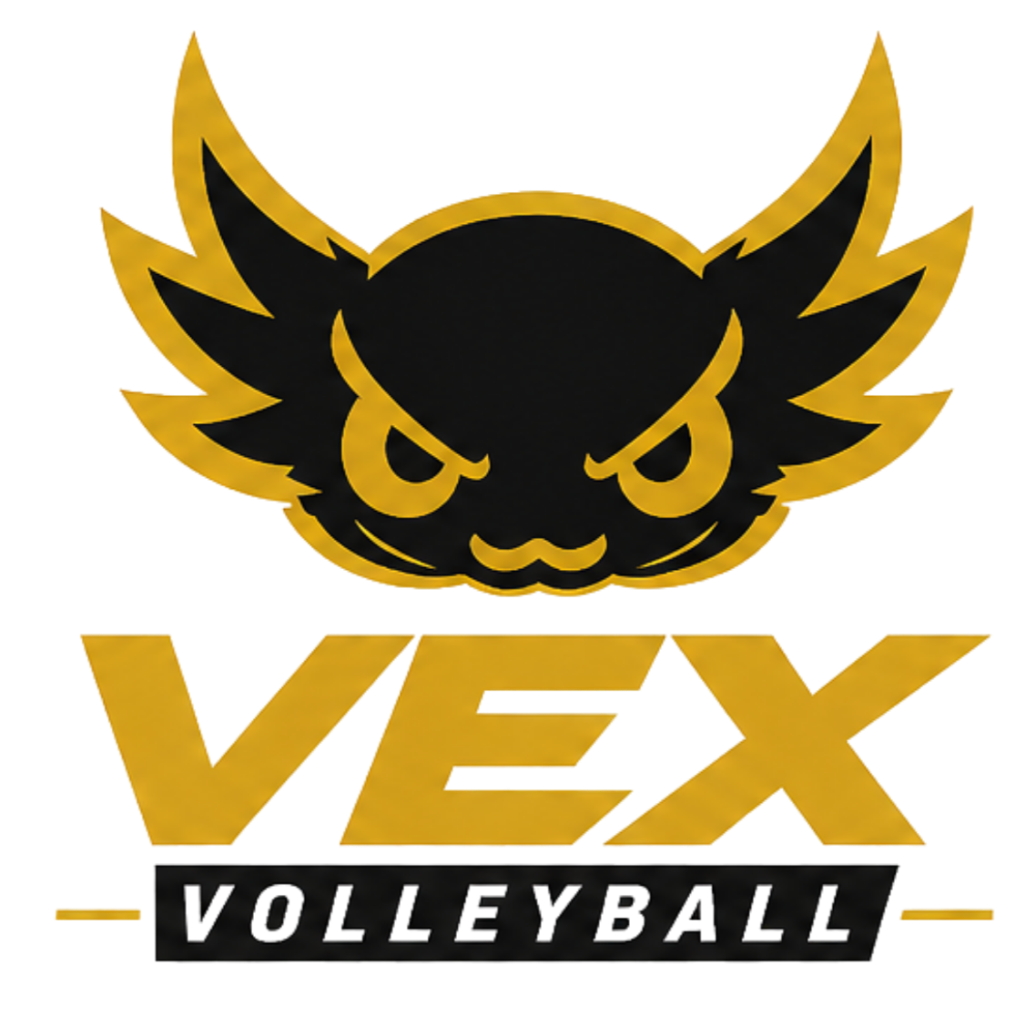 Vex Volleyball - Austin, TX