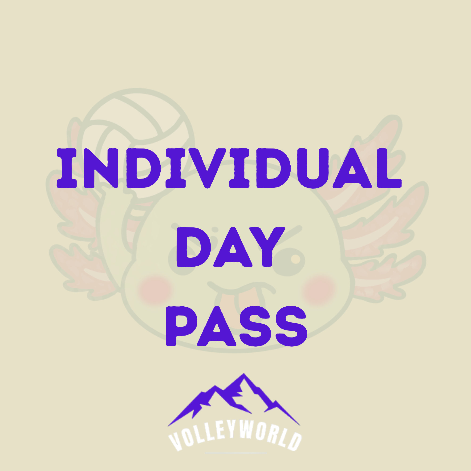 🎟️ Volleyworld Pflugerville Individual Day Pass (Tues/Thurs/Sun))