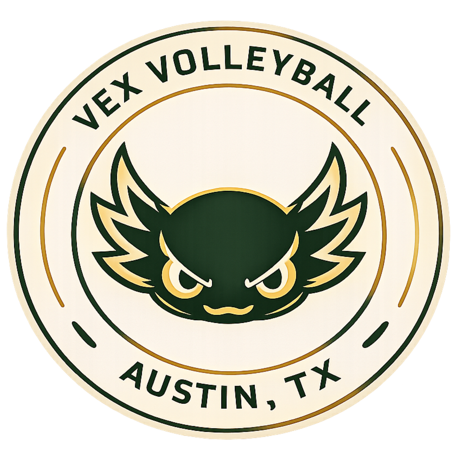 Vex Volleyball - Austin, TX