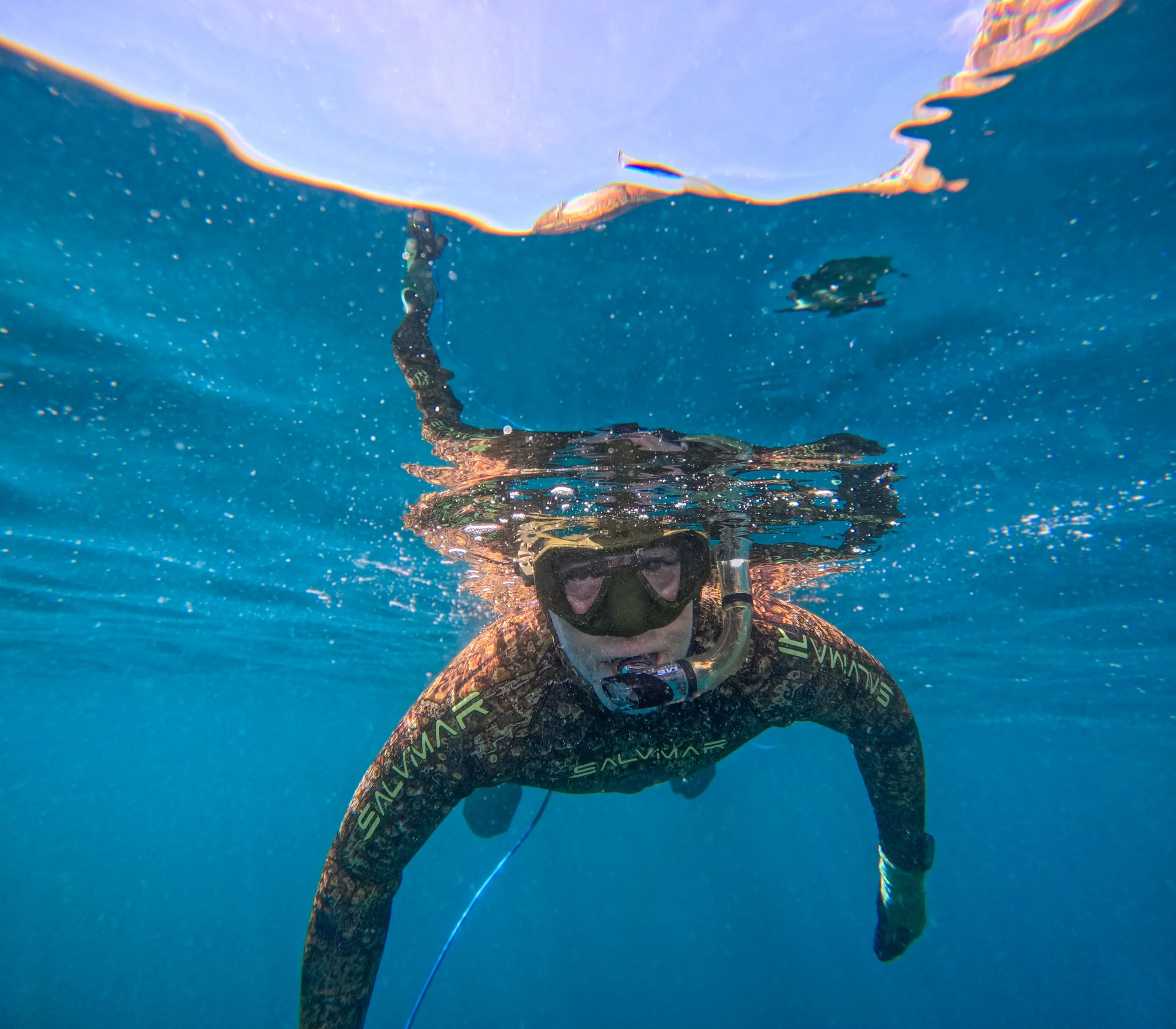 Salvimar Fogless Mask