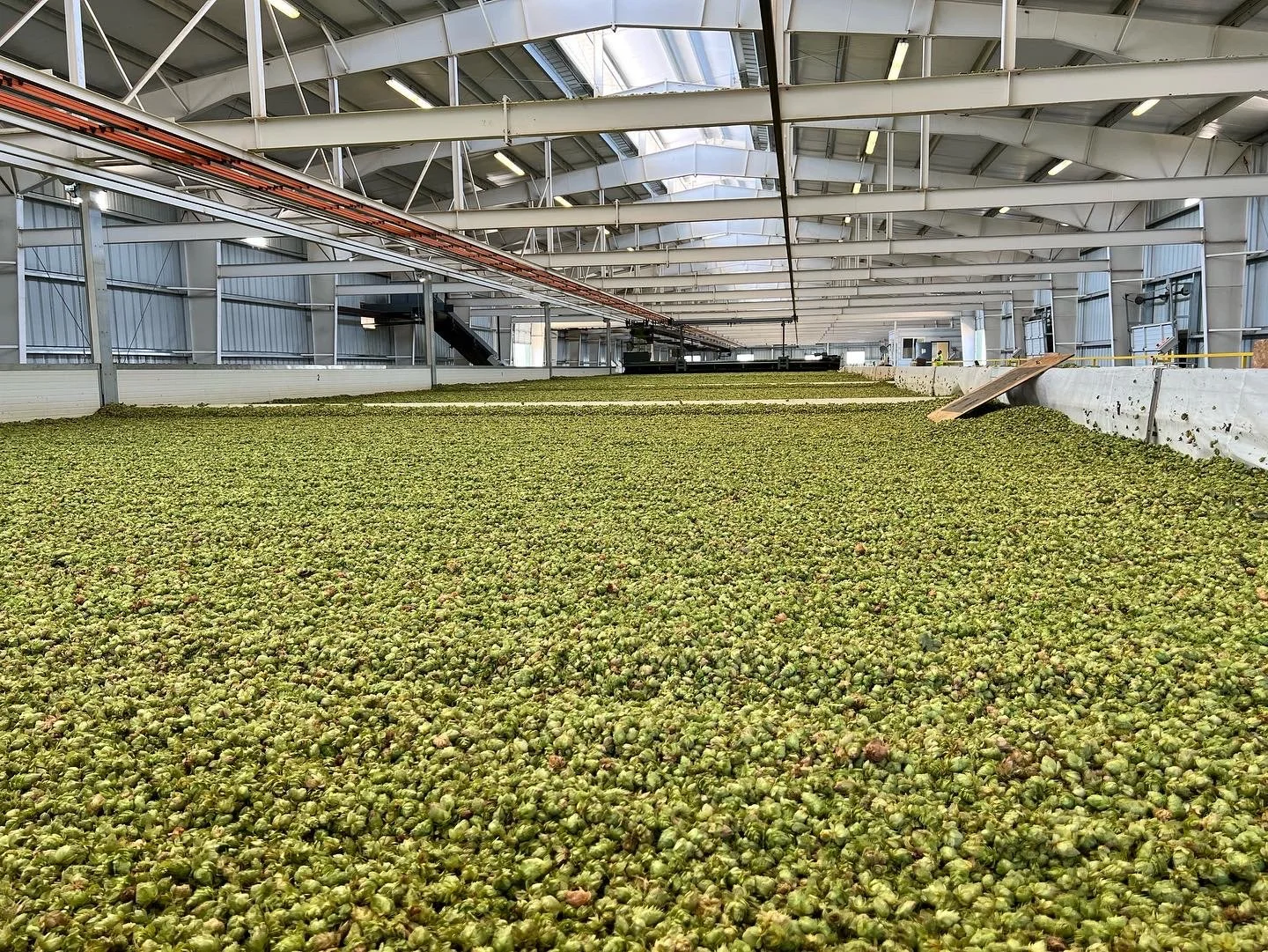Hop Processing, Parma, ID